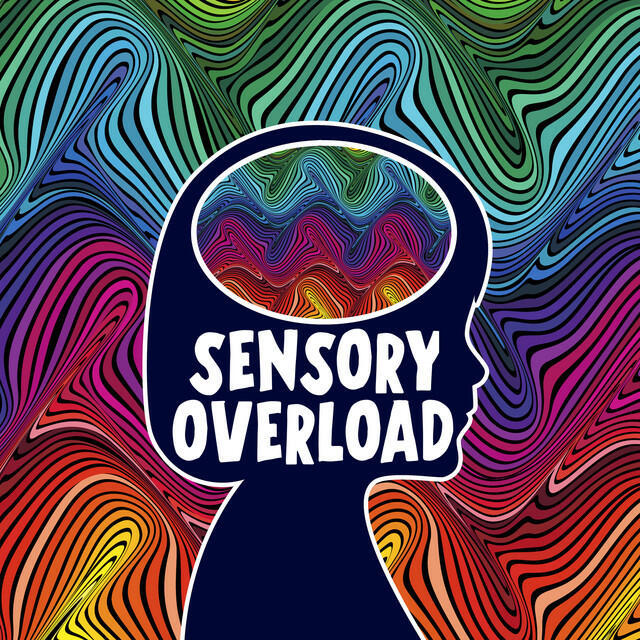 Постер альбома Sensory Overload
