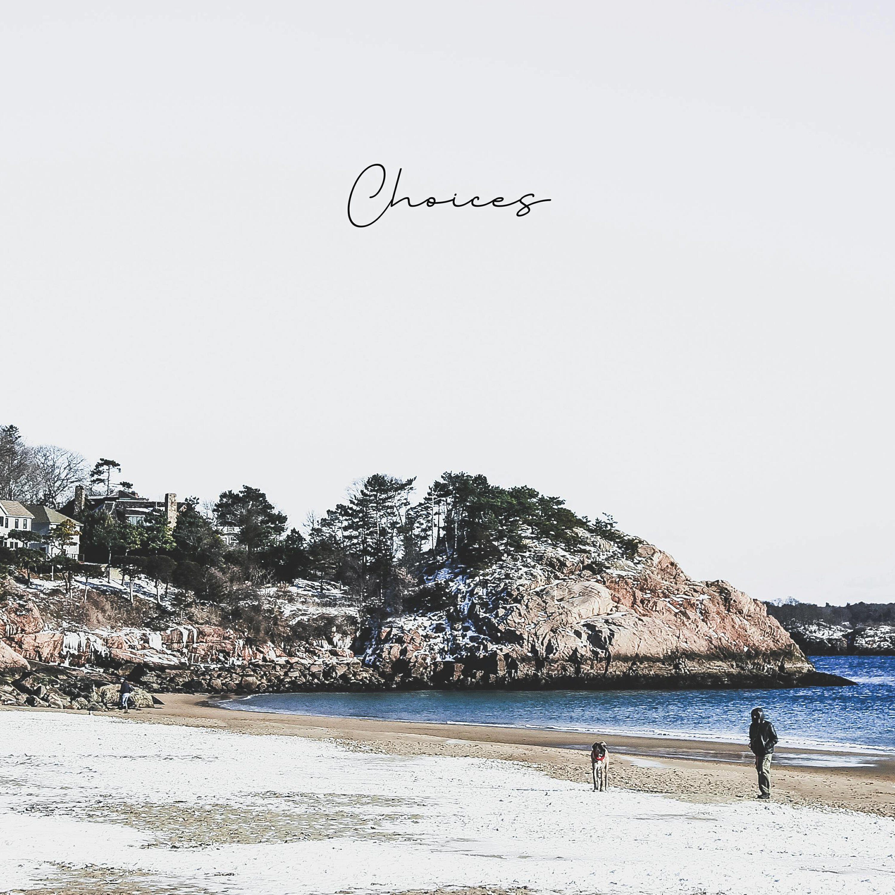 Релиз Choices