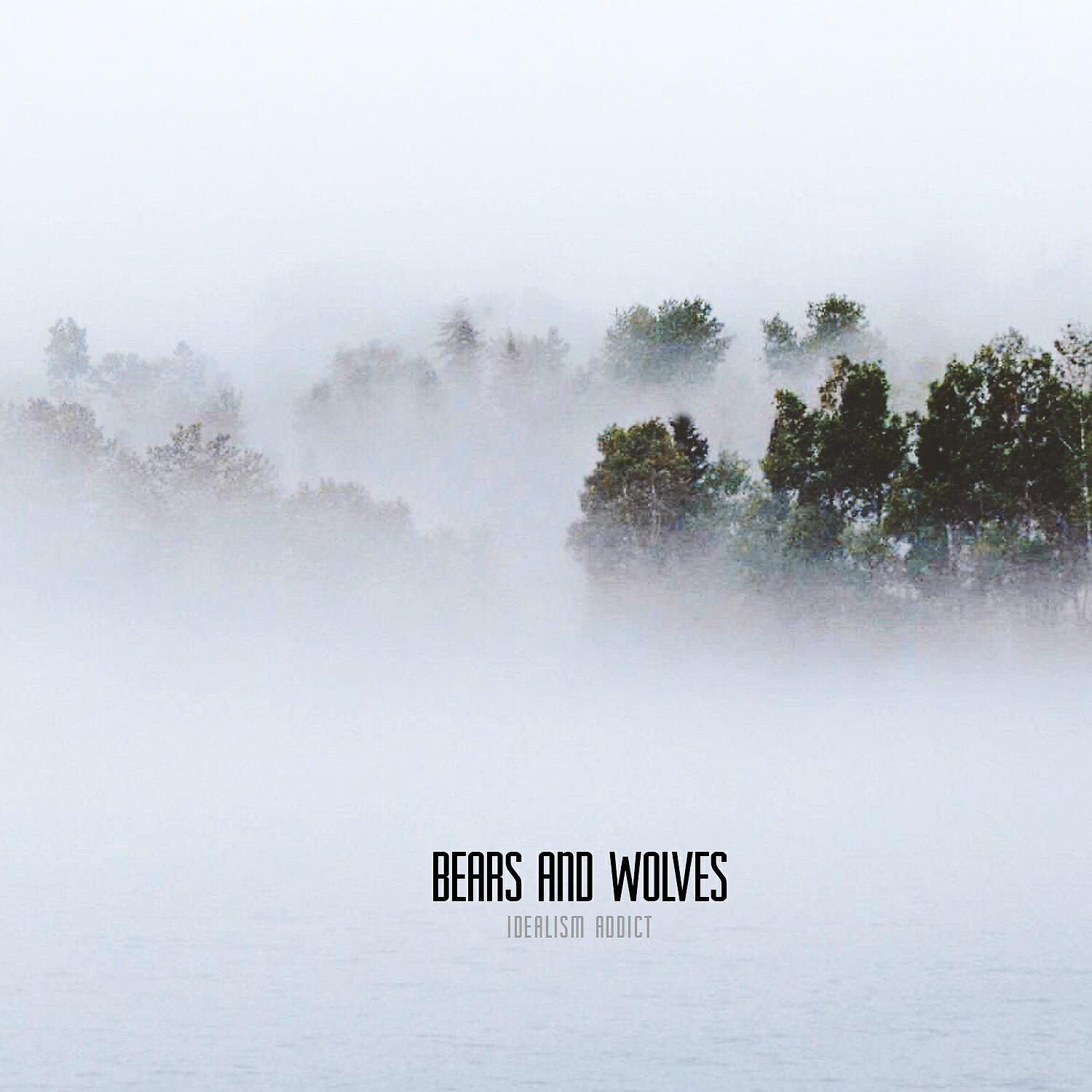 Постер альбома Bears and Wolves