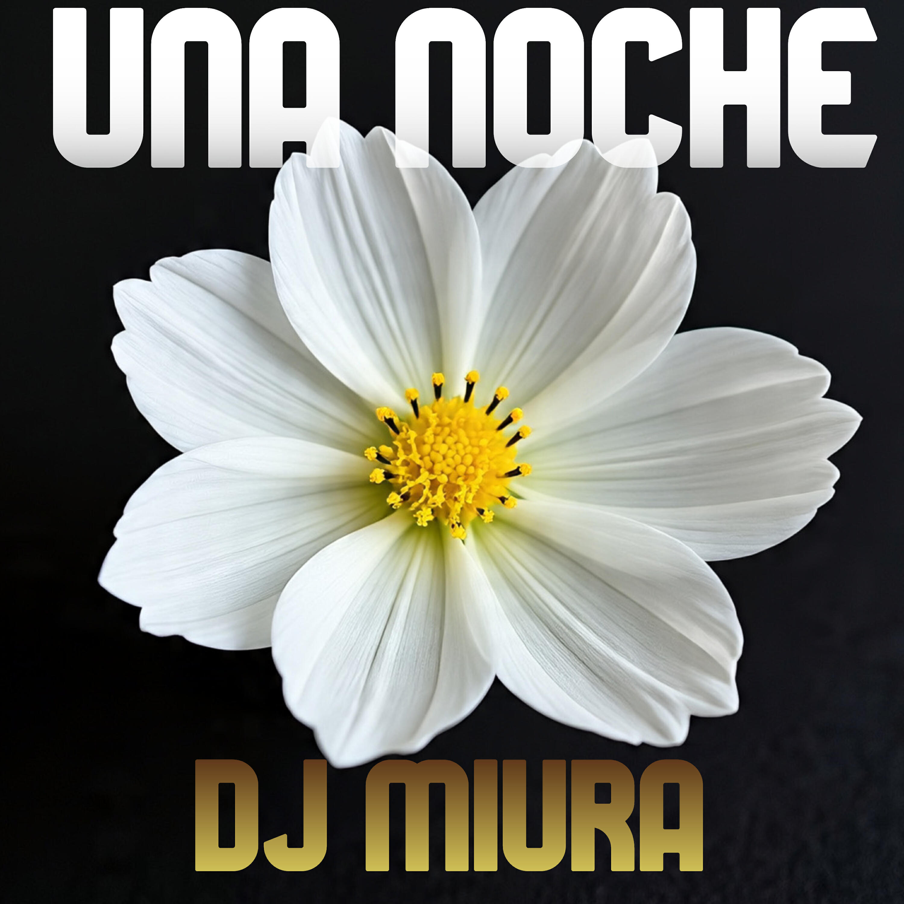 Релиз Una Noche