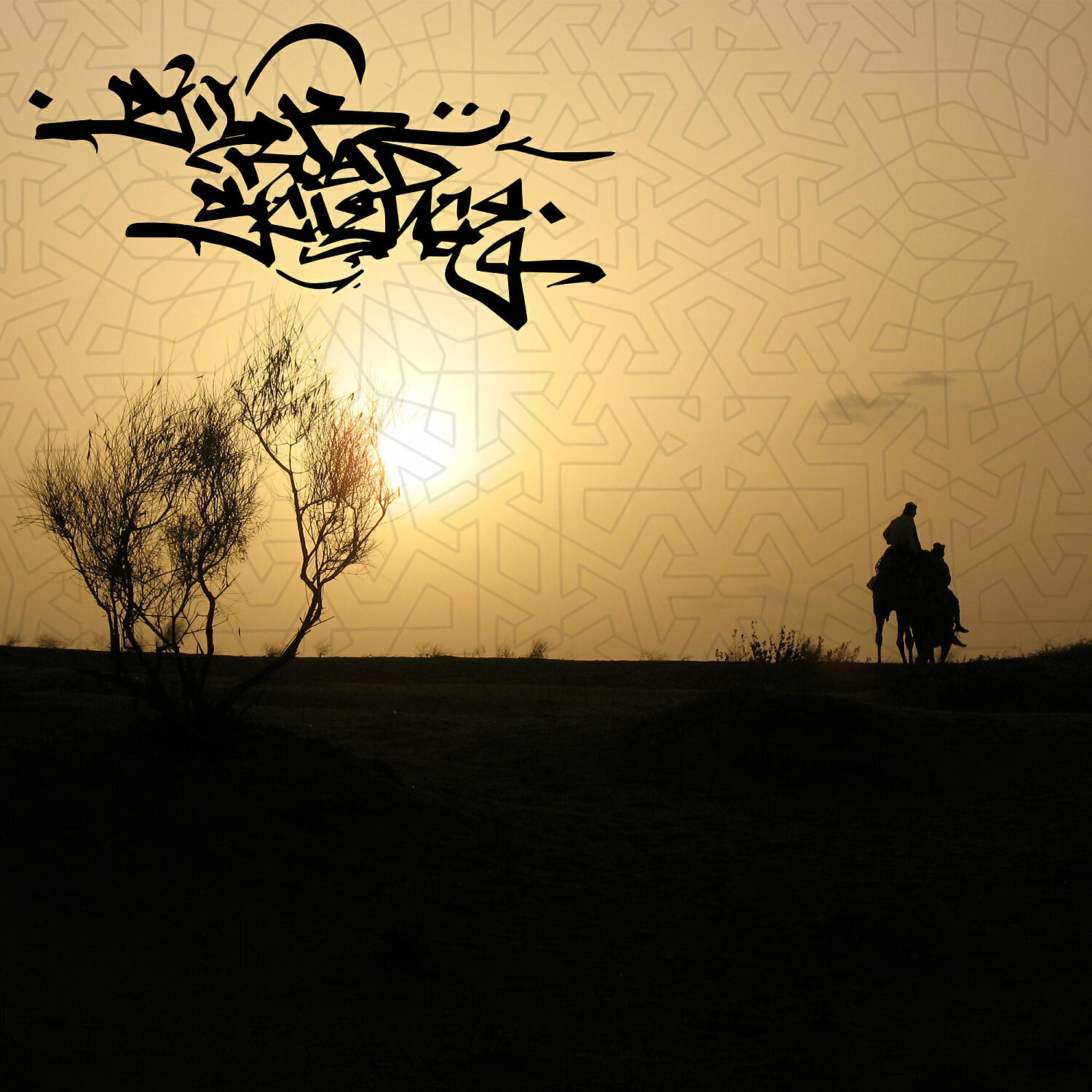 Релиз Silk Road Science