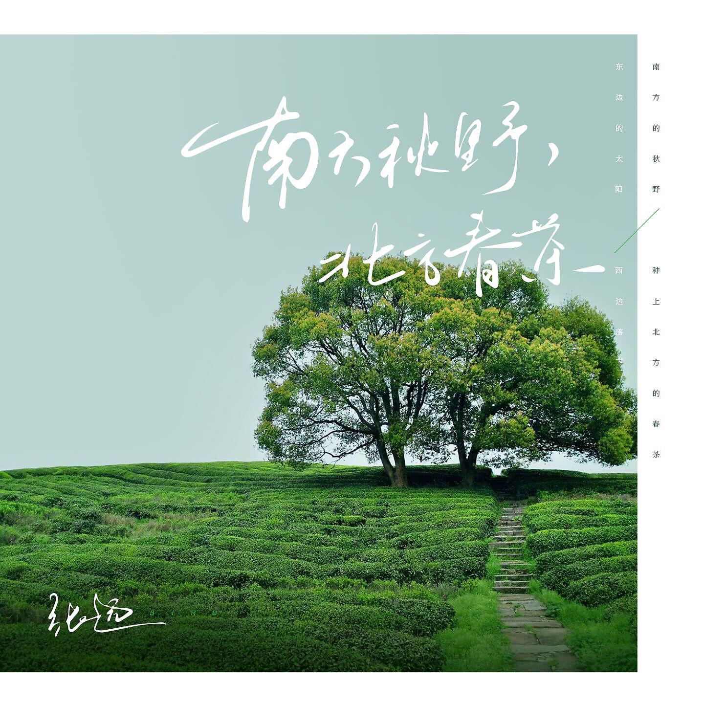 Релиз 南方秋野，北方春茶