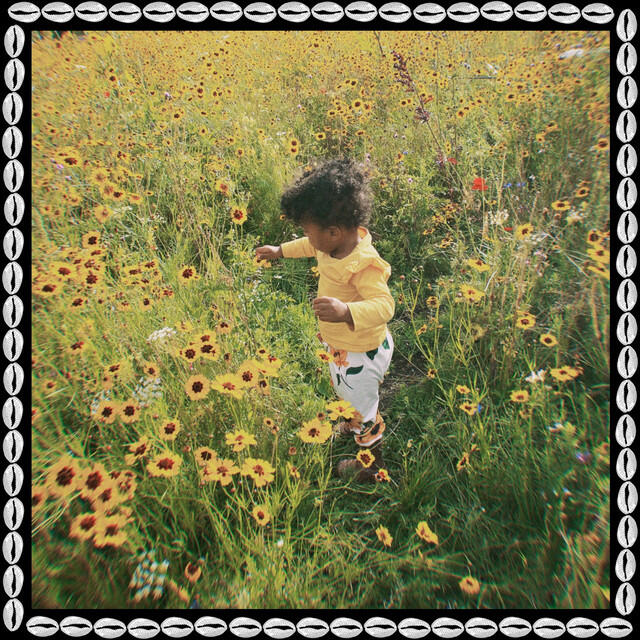 Релиз The Light (feat. Bahia Dayes)