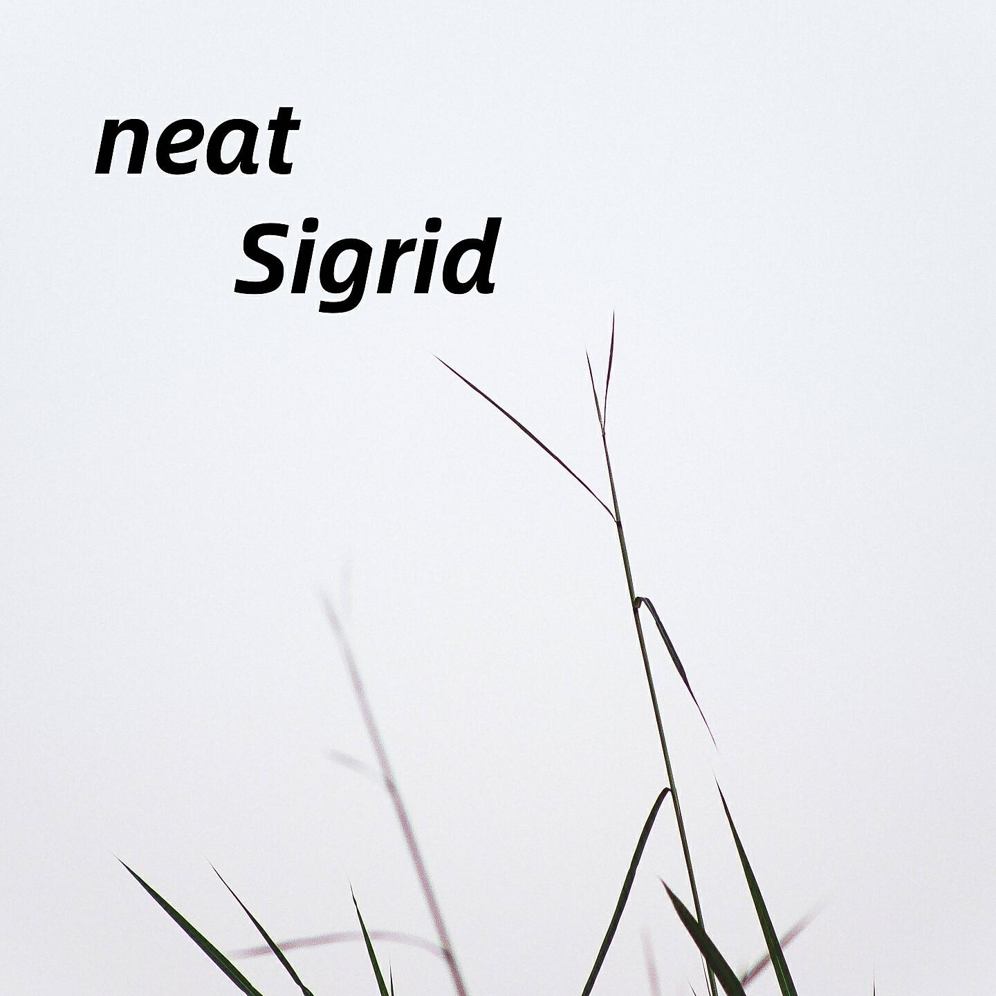 Релиз neat