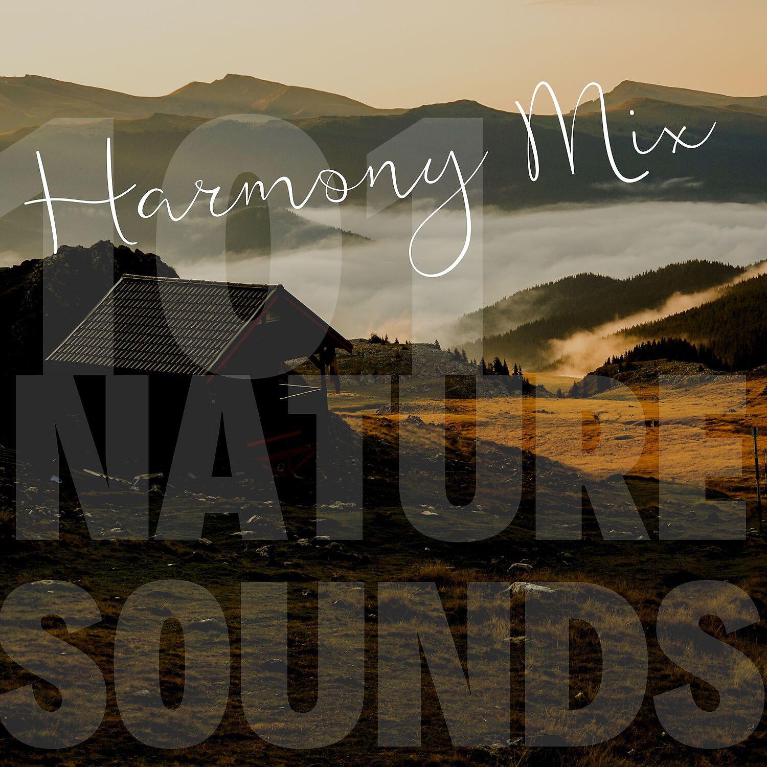 Релиз Harmony Mix