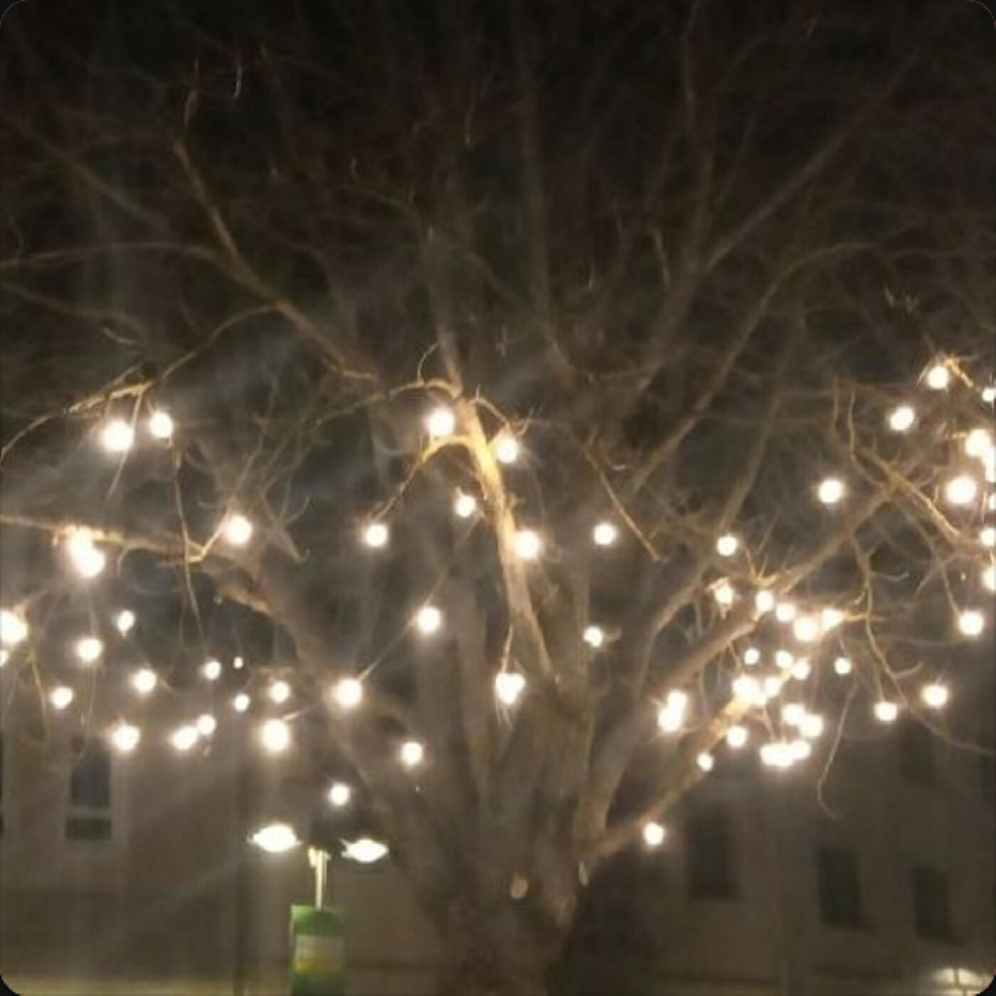 Релиз November.