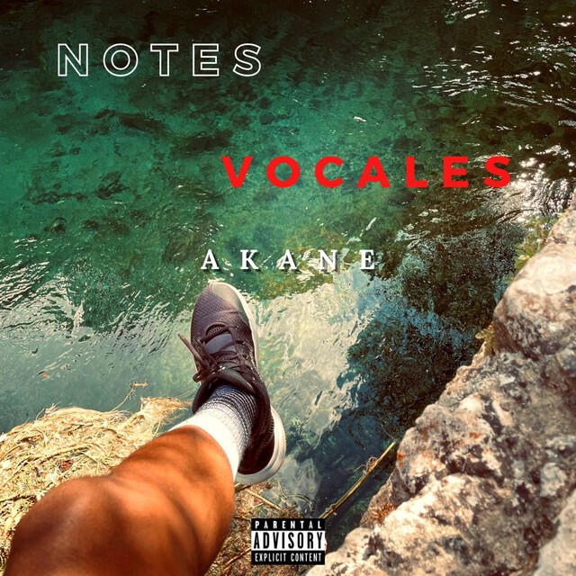 Релиз NOTES VOCALES