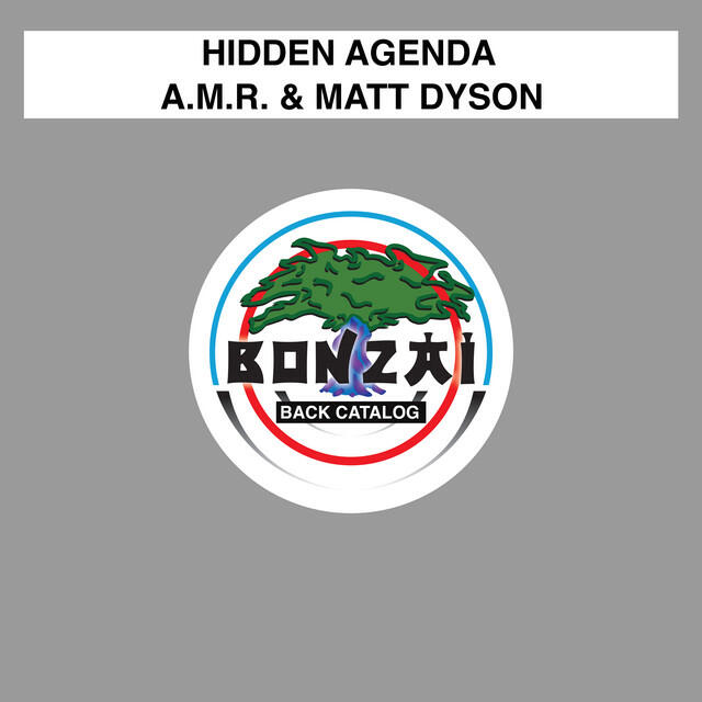 Релиз Hidden Agenda