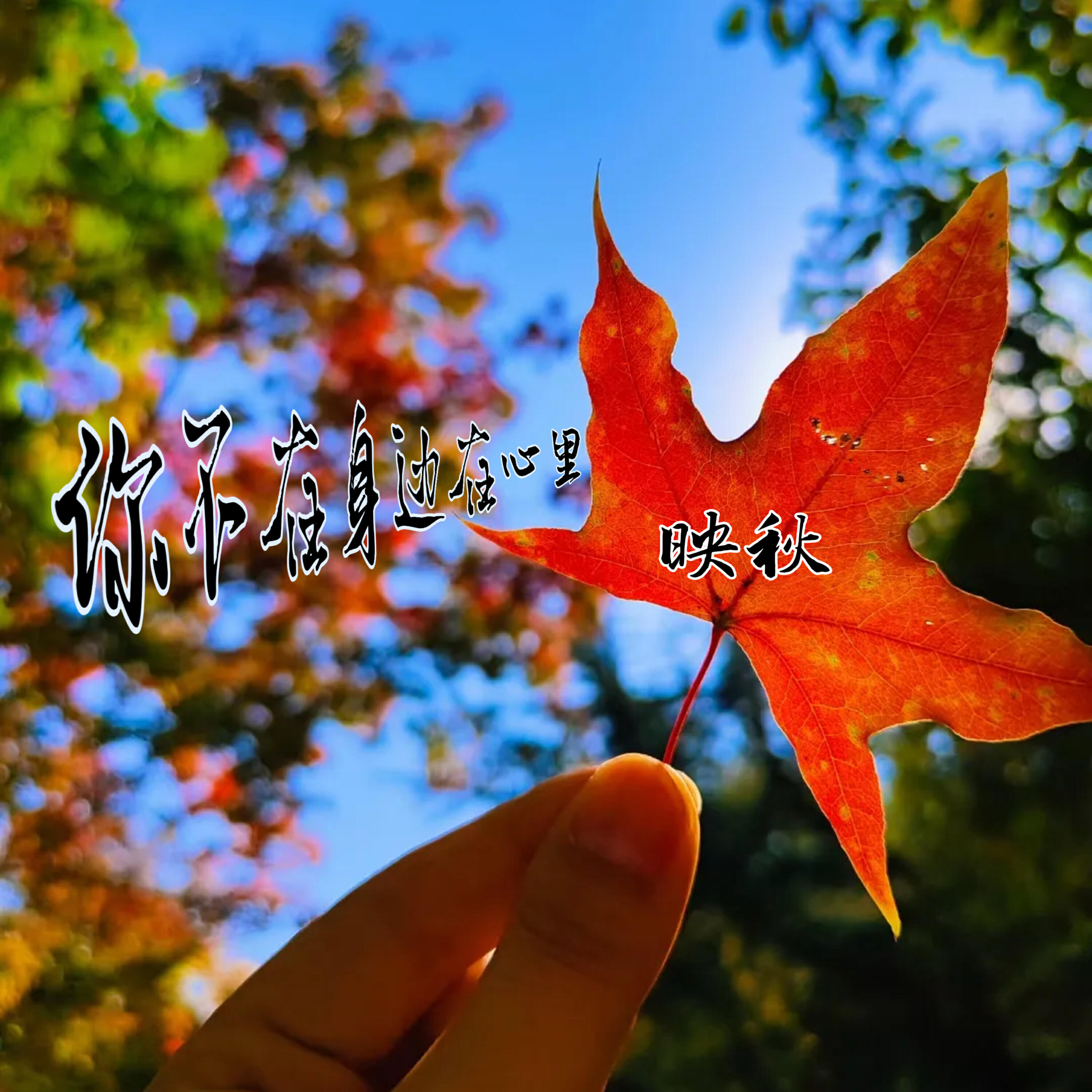 Трек 你不在身边在心里