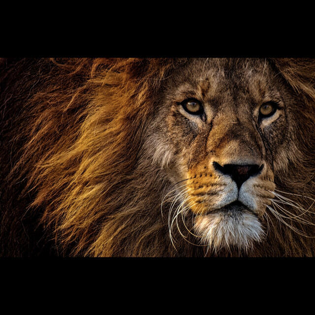 King Barry C Thomas