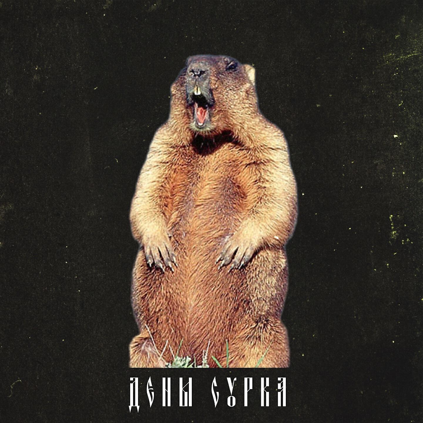 Скачать песню Mr.Gri - День Сурка бесплатно в MP3 для Android и iOS
