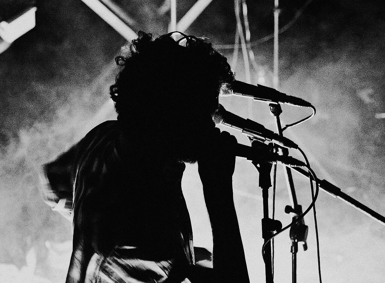 Hyperpotamus