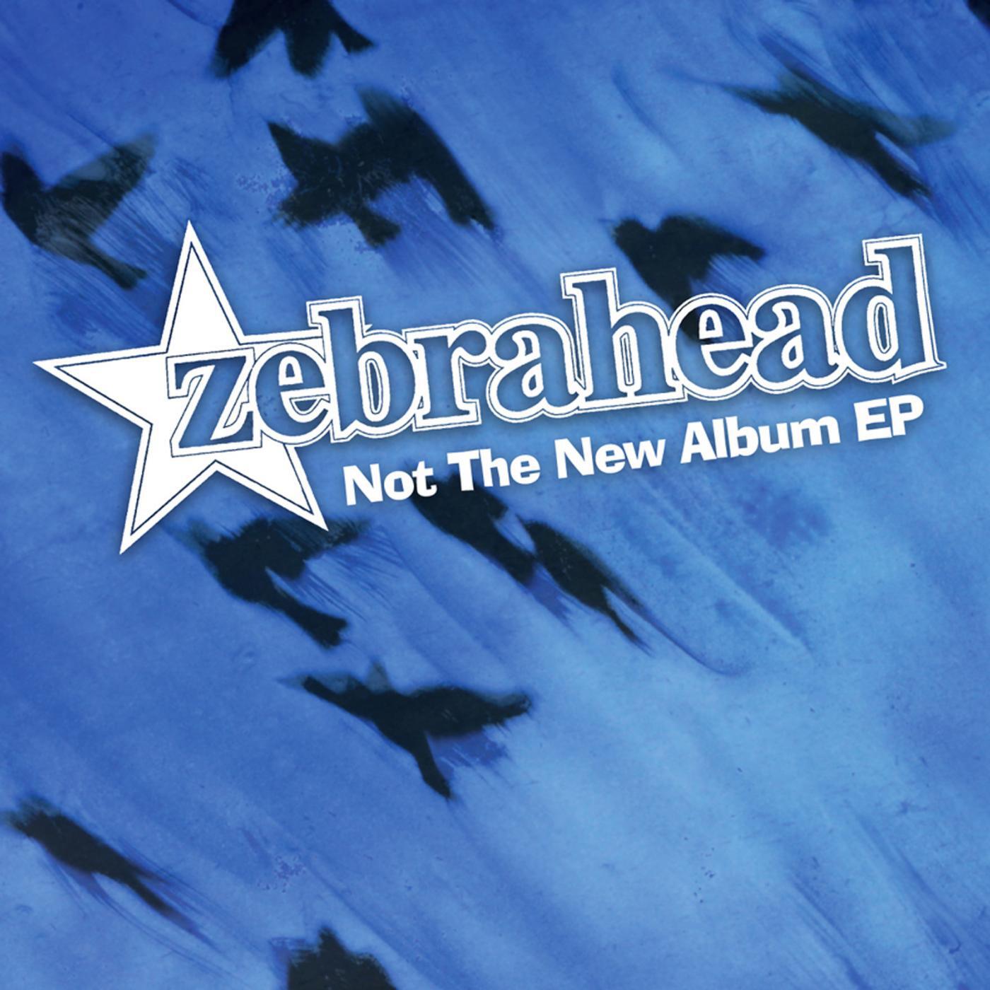 Релиз Not the New Album EP