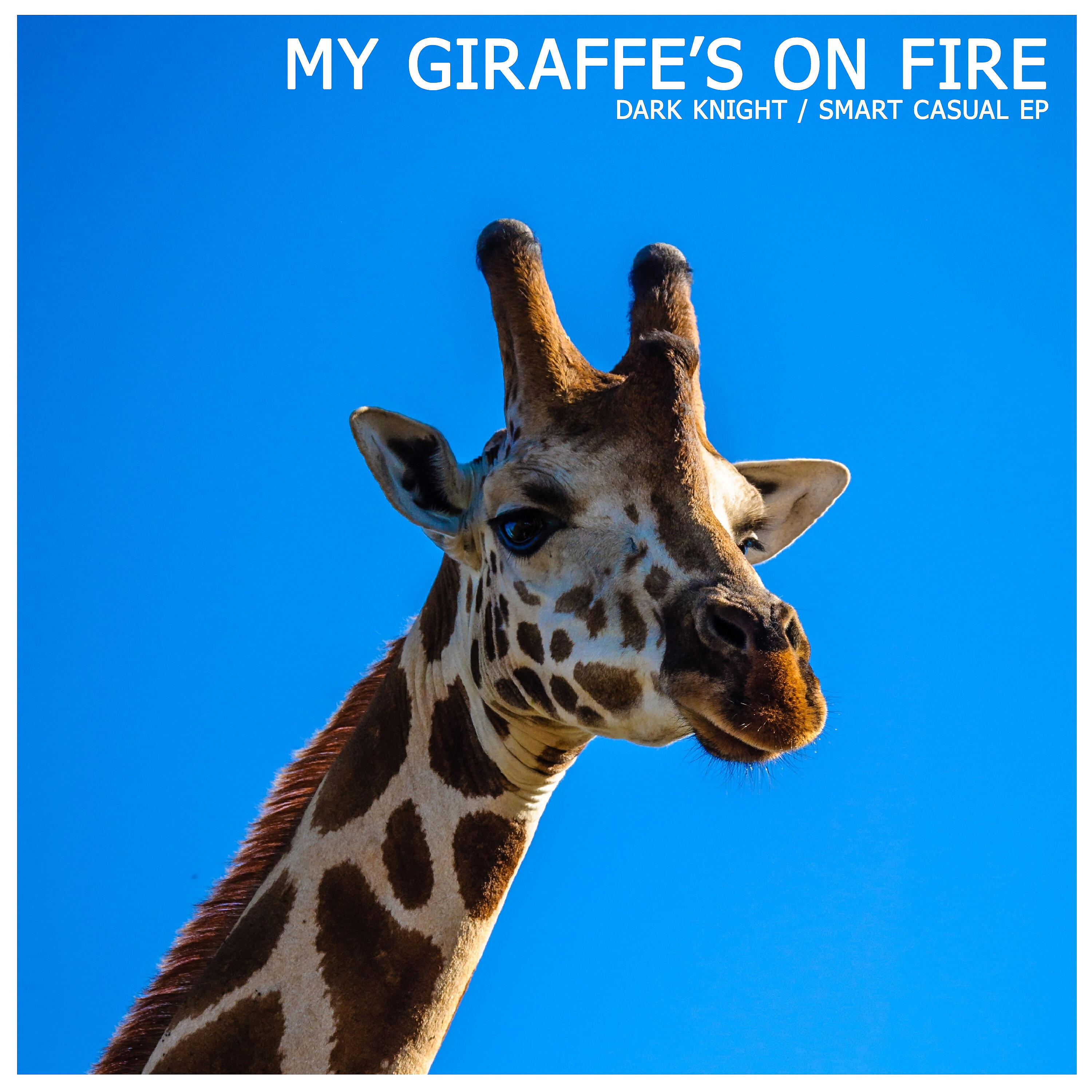 My Giraffe's on Fire