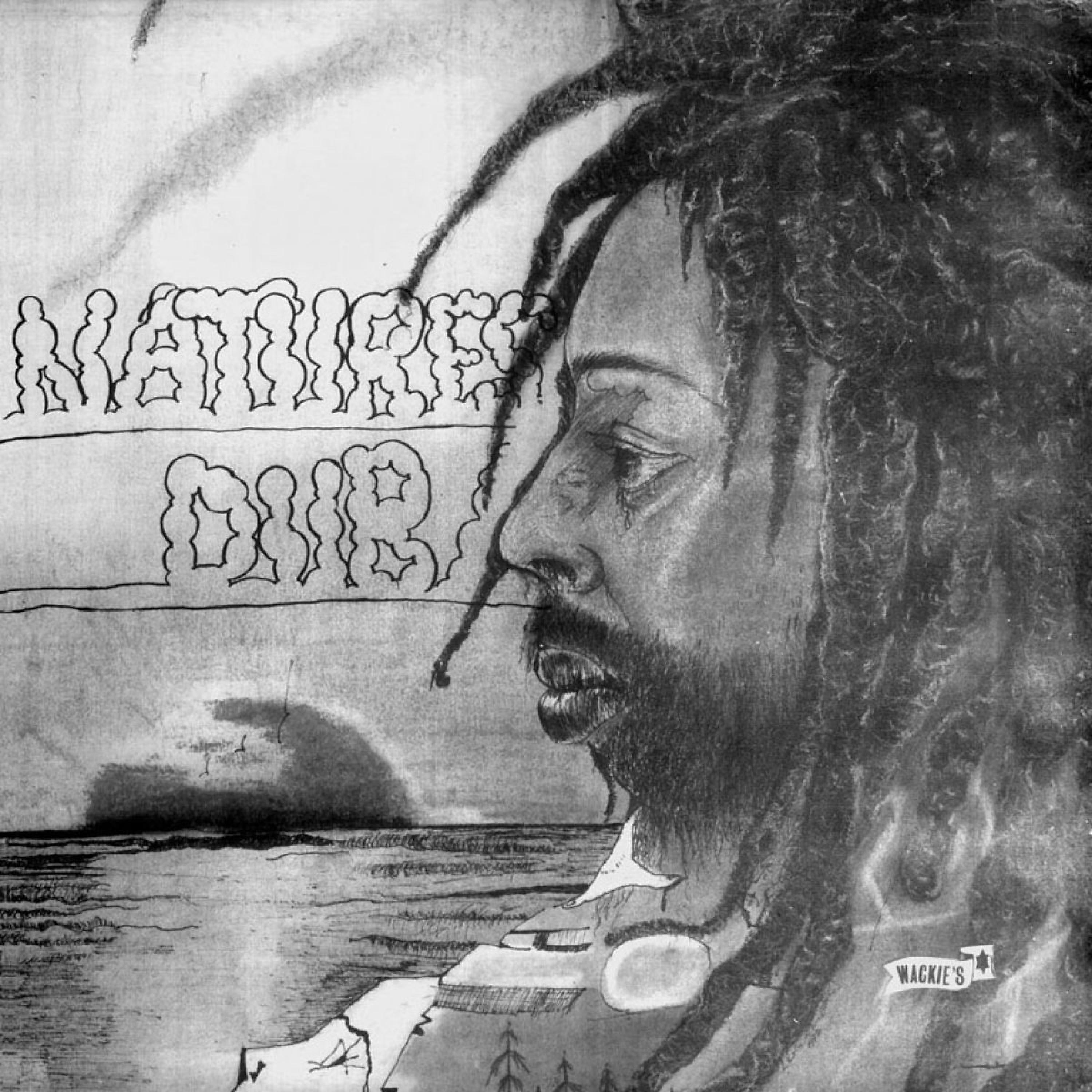 Релиз Natures Dub