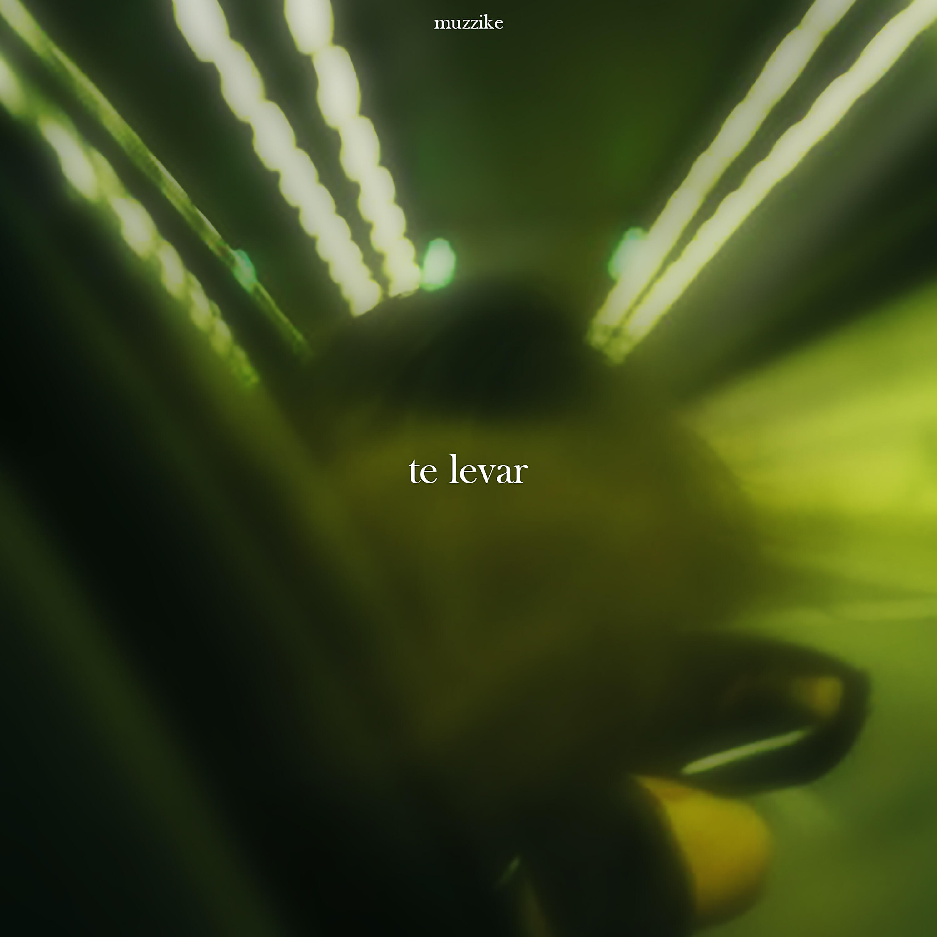 Релиз Te Levar