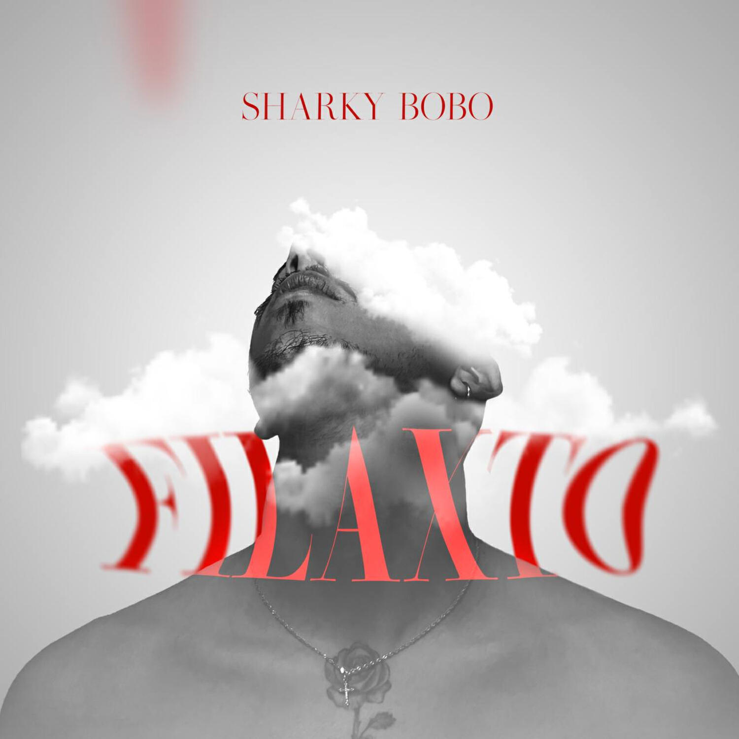 Shark.mt