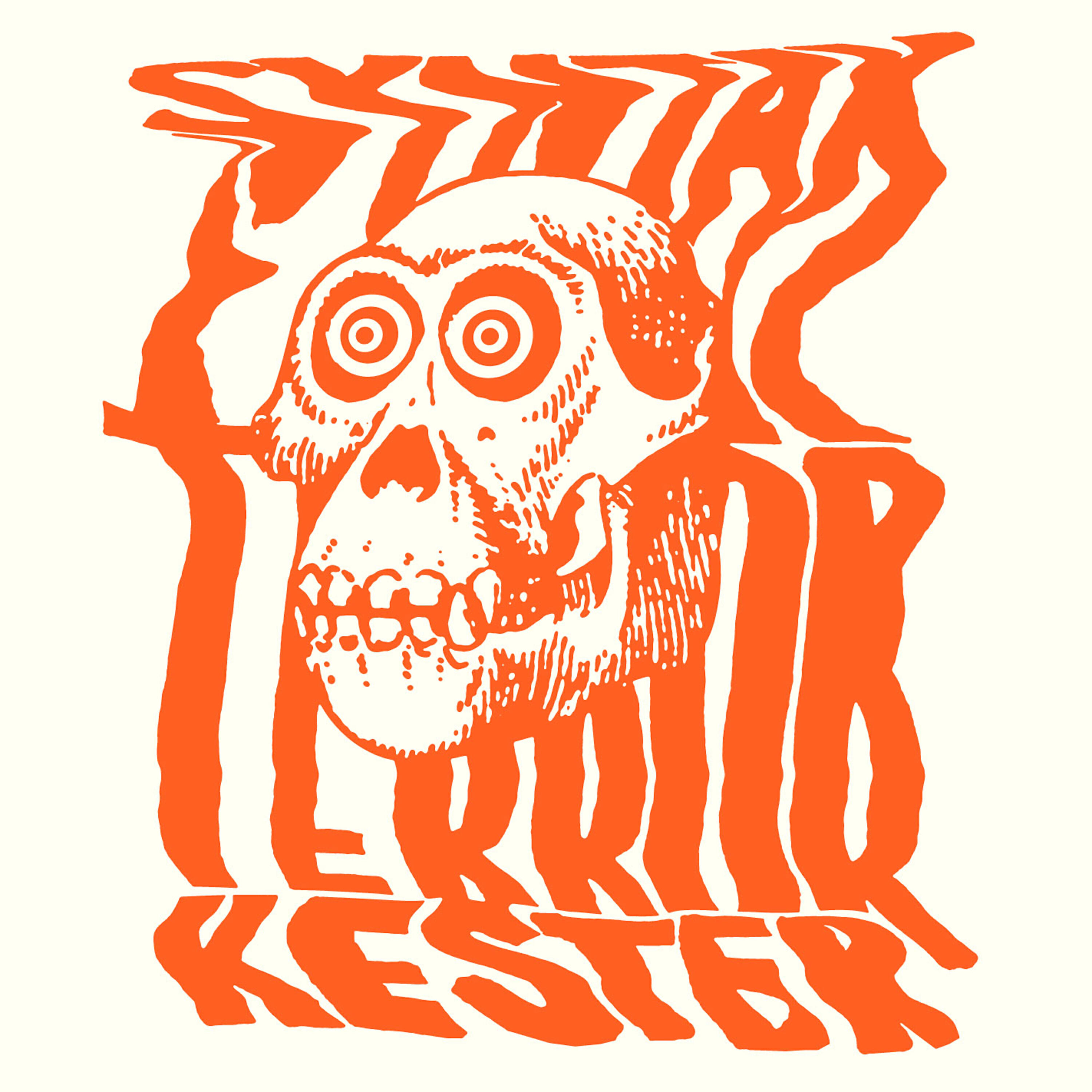 Релиз Stein I Skoen
