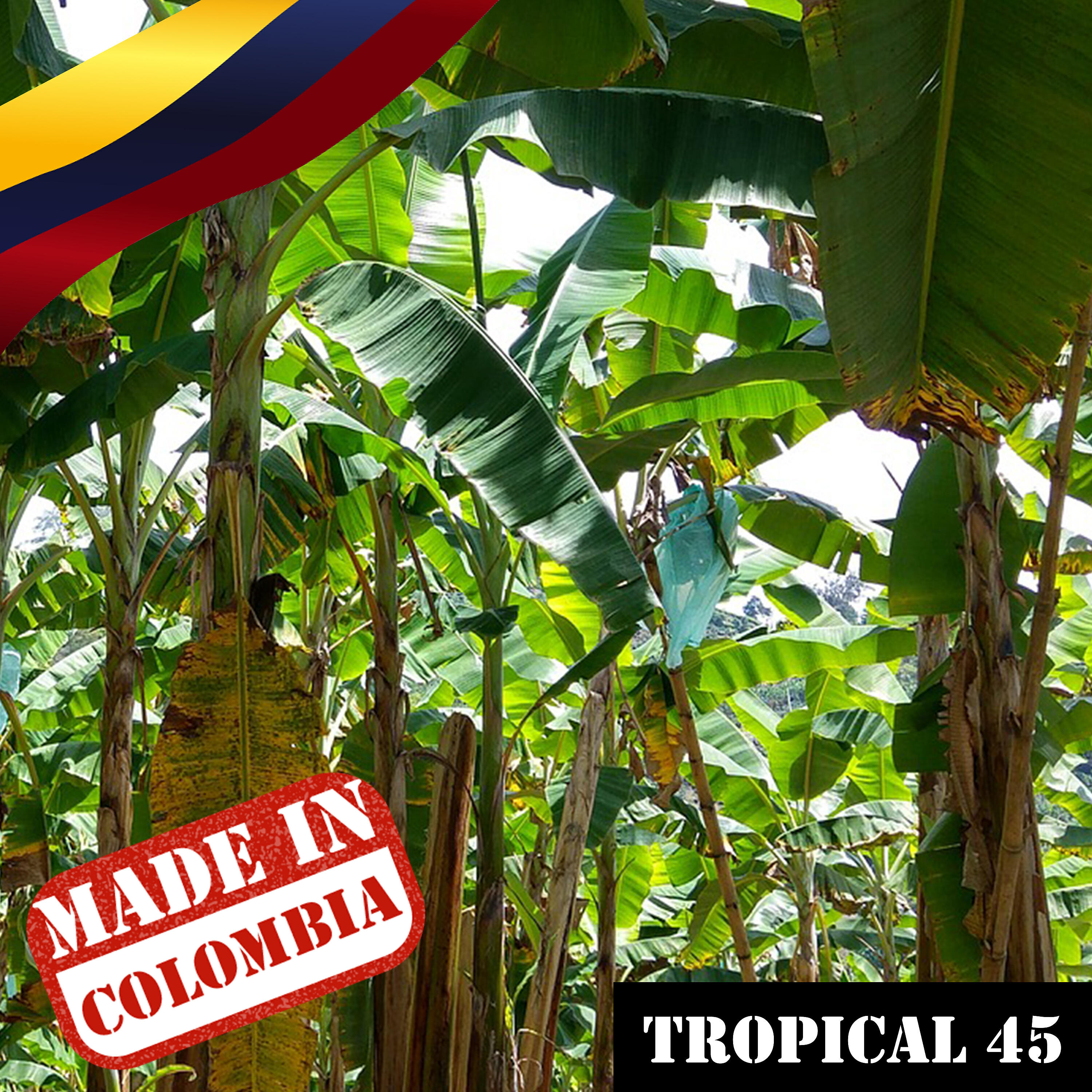 Релиз Made In Colombia: Tropical, Vol. 45