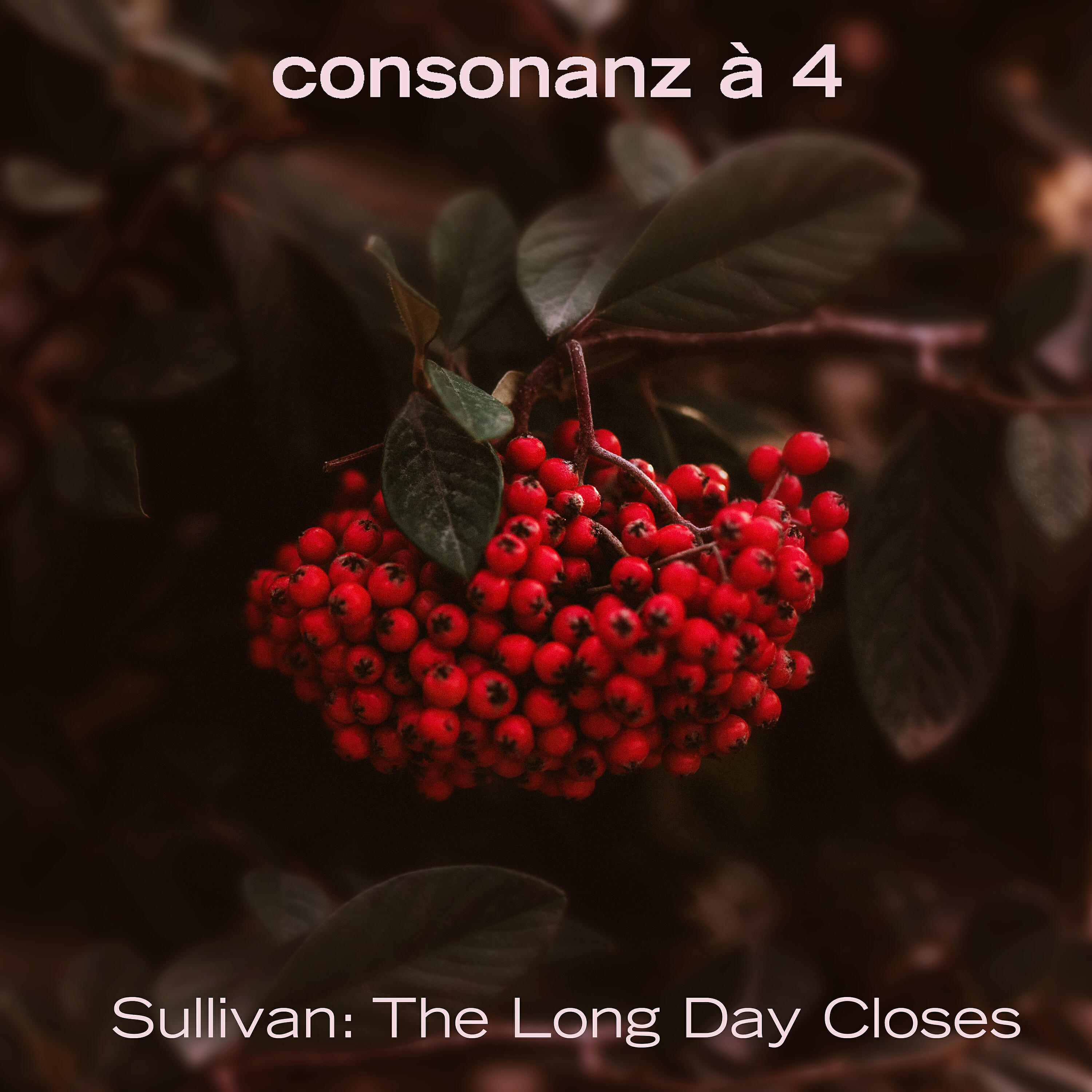 Релиз The Long Day Closes