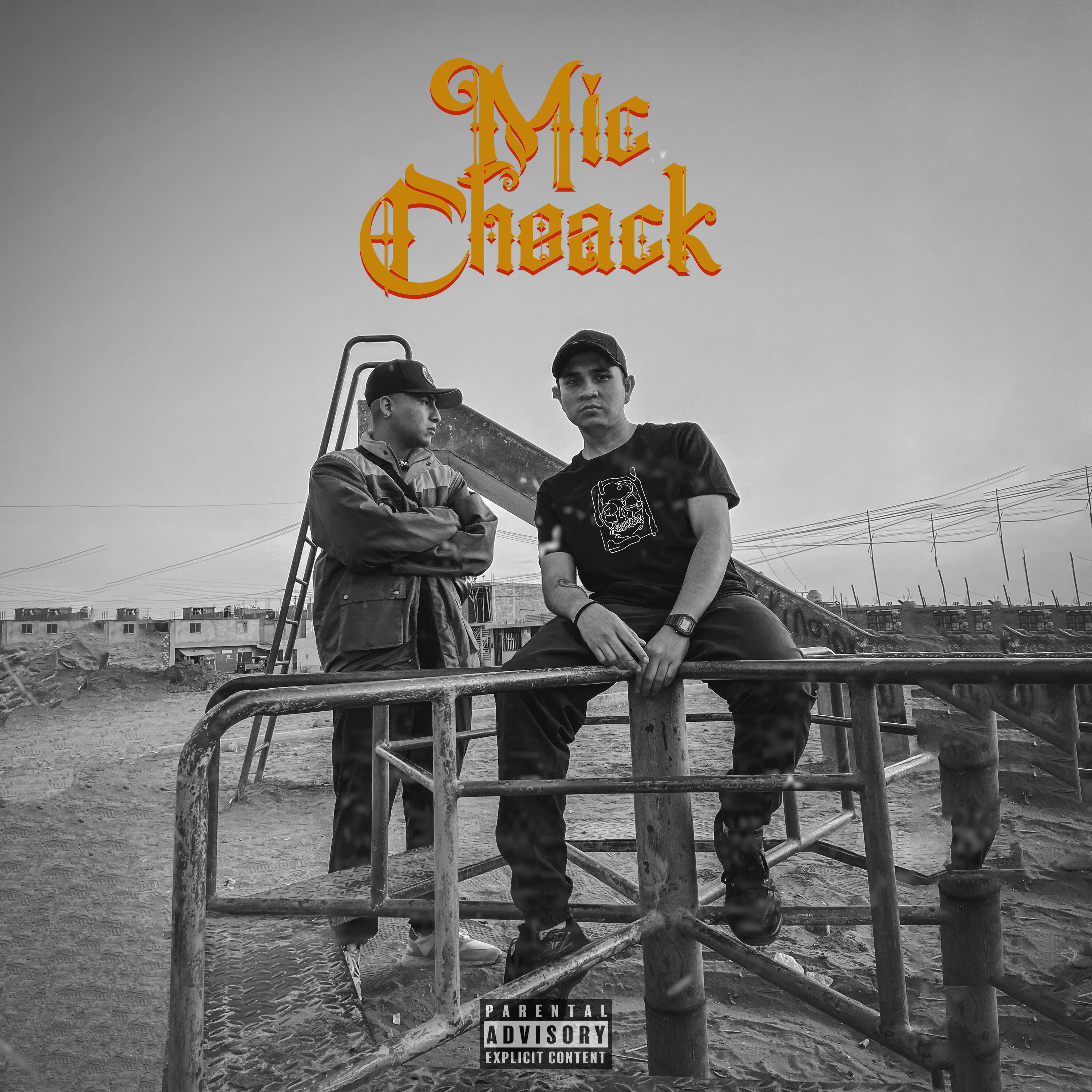 Релиз Mic Cheack