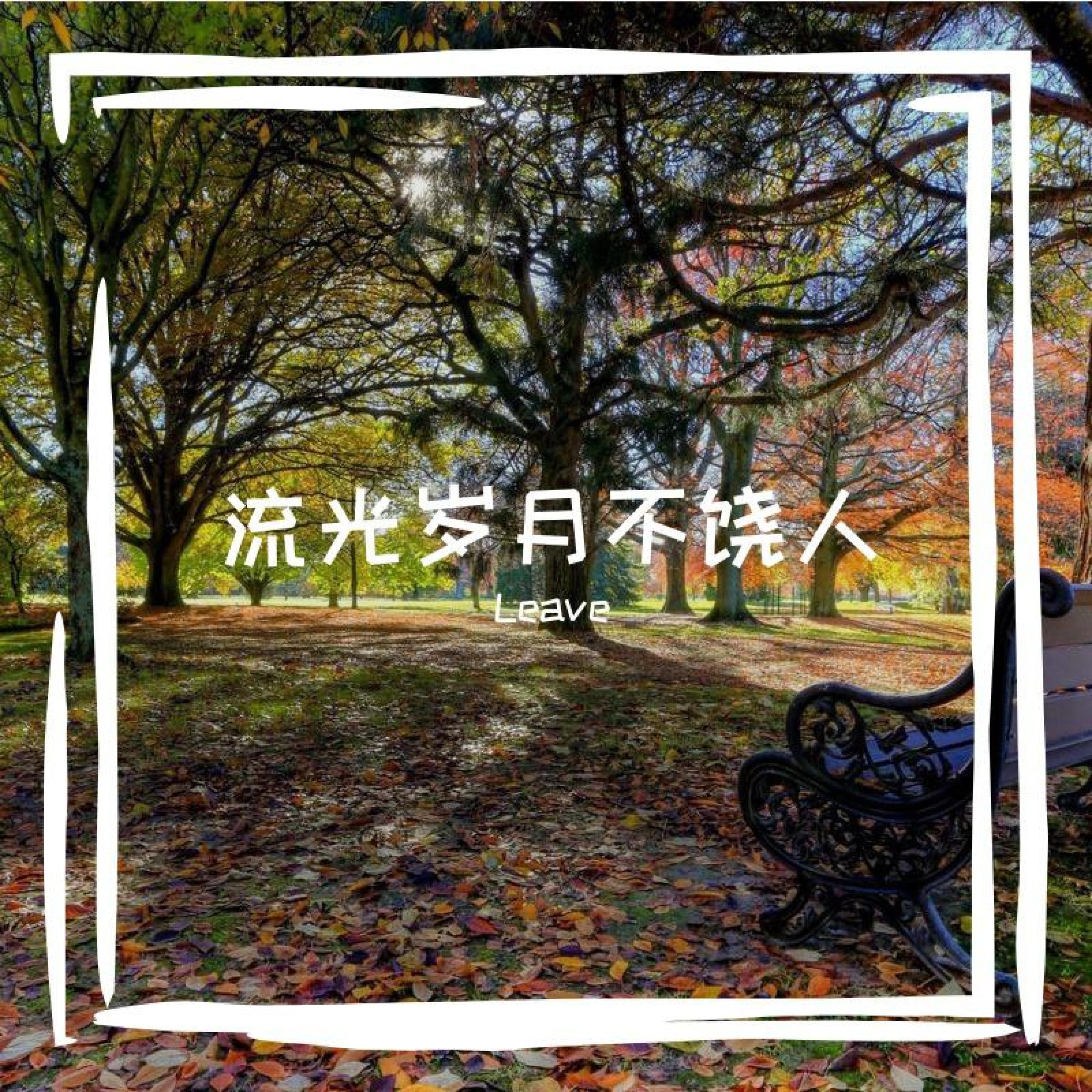 Трек 岁月难改情深