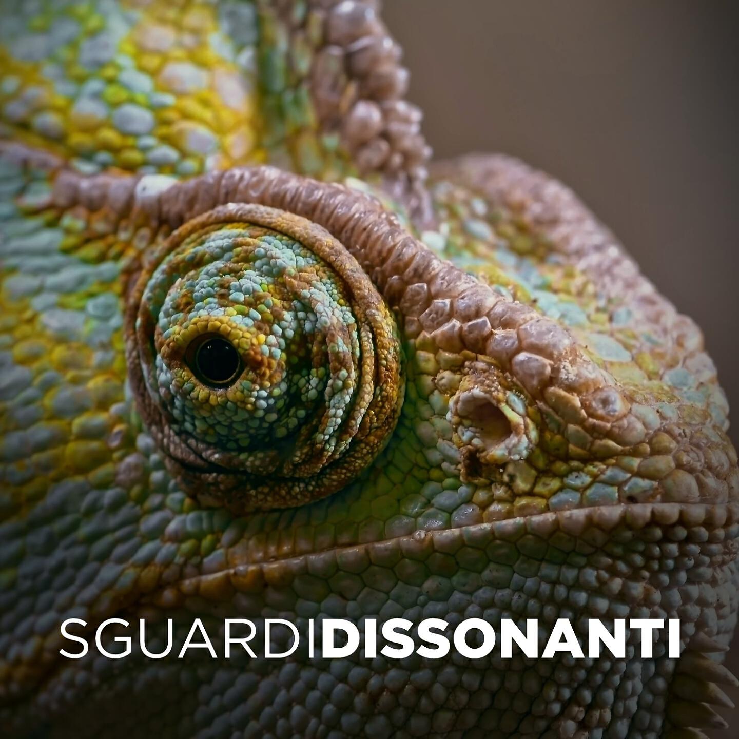 Релиз Sguardi dissonanti