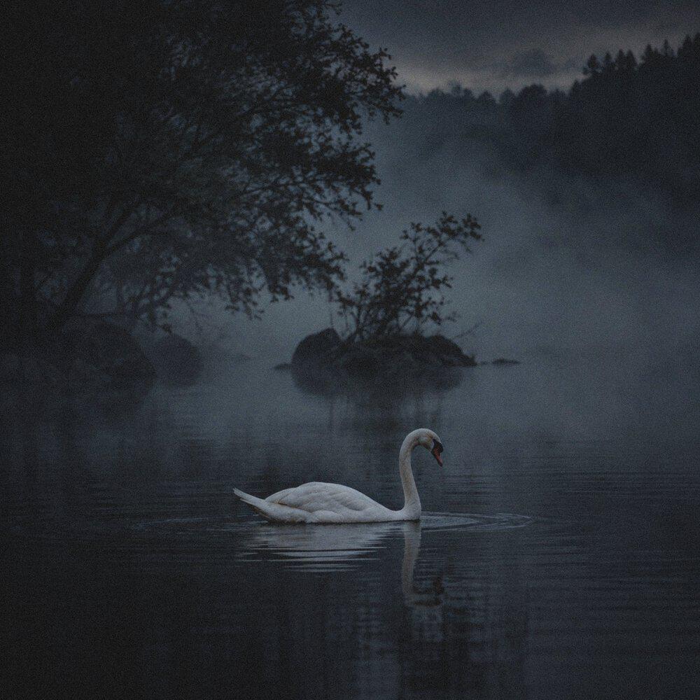 Релиз Night secrets