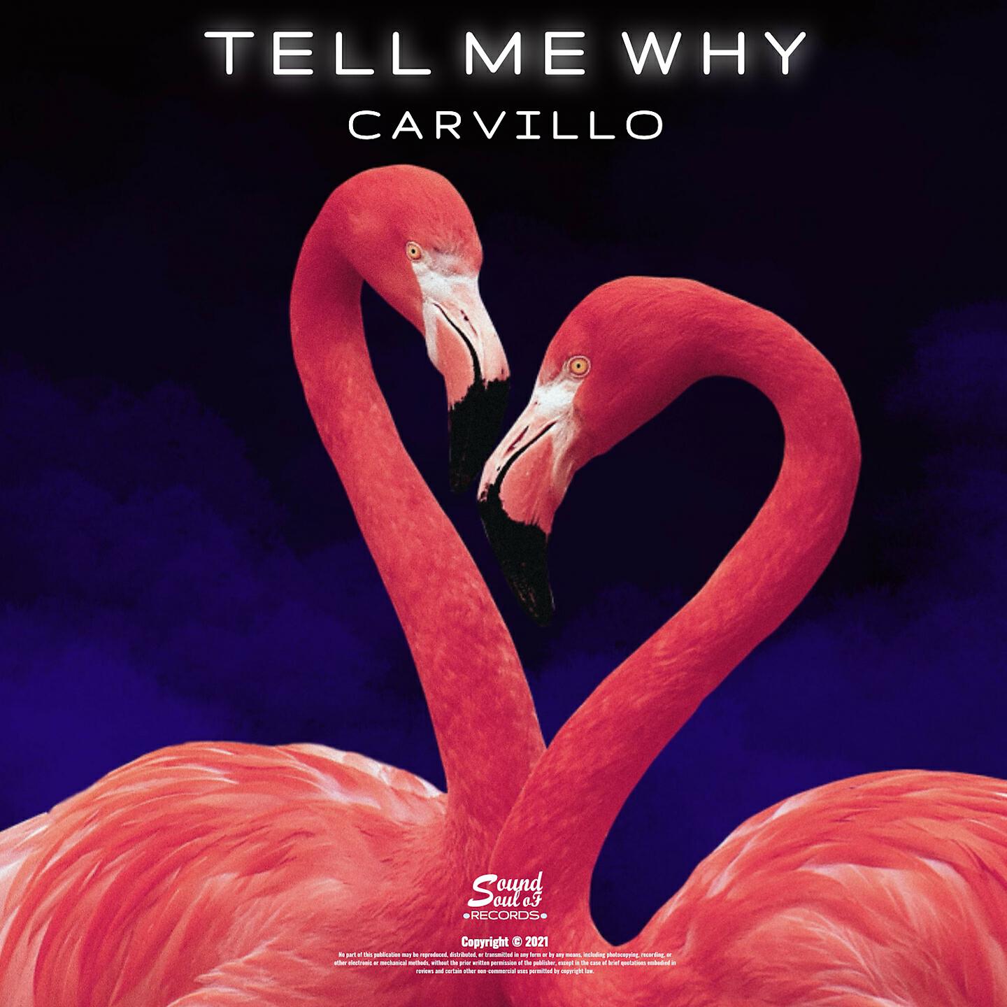 Релиз Tell Me Why