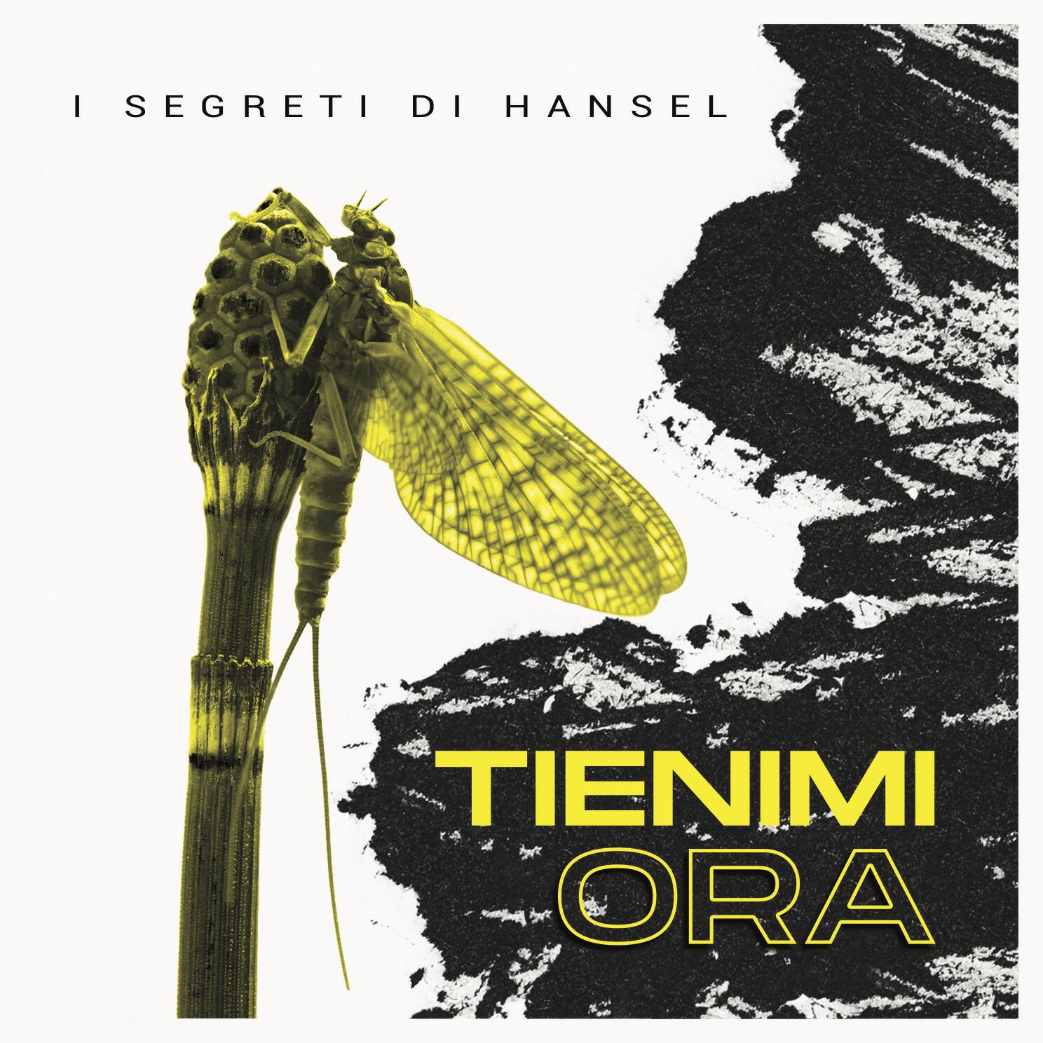 i segreti di hansel