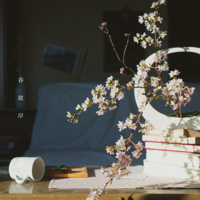 Релиз 春彼岸