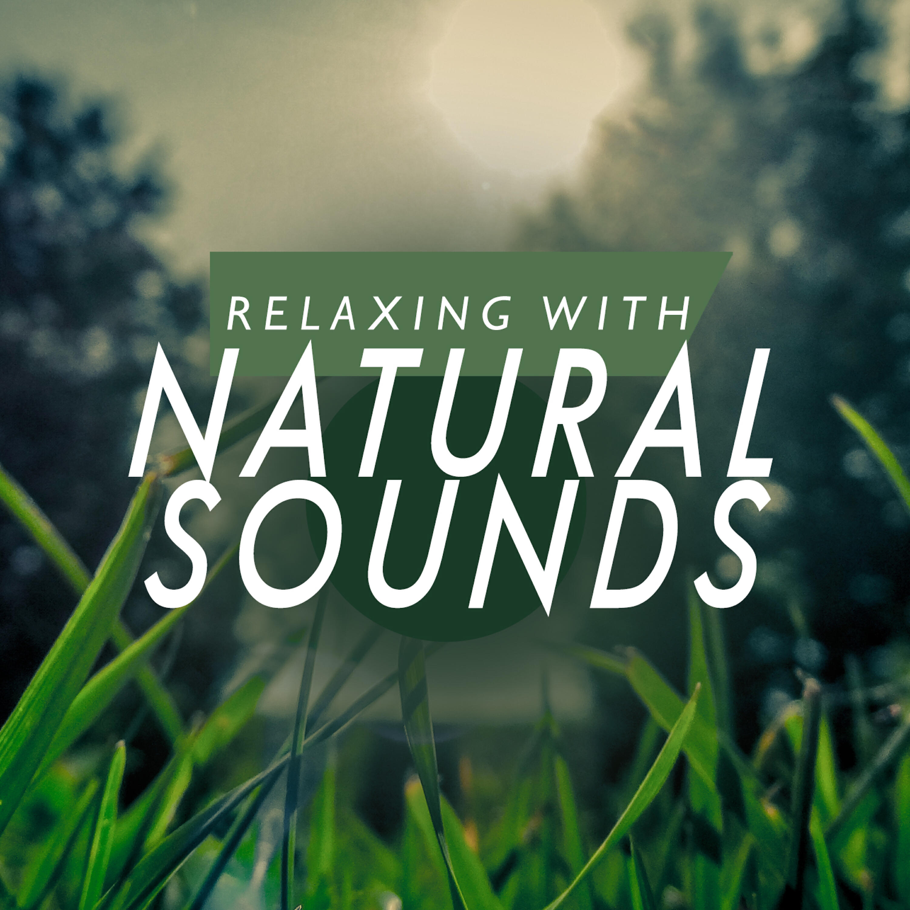 Релиз Relaxing with Natural Sounds