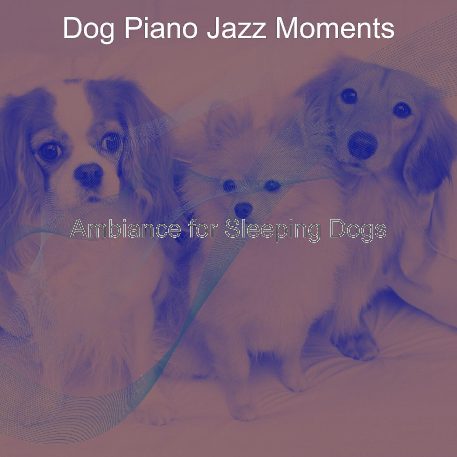 Постер альбома Ambiance for Sleeping Dogs
