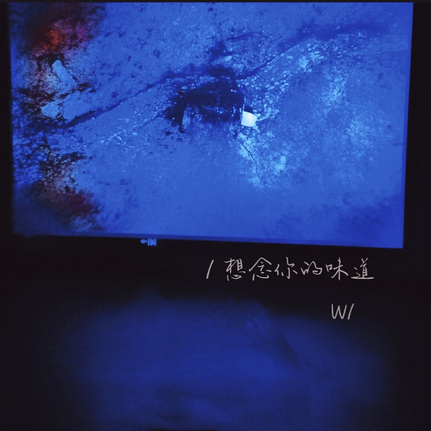 Релиз 想念你的味道