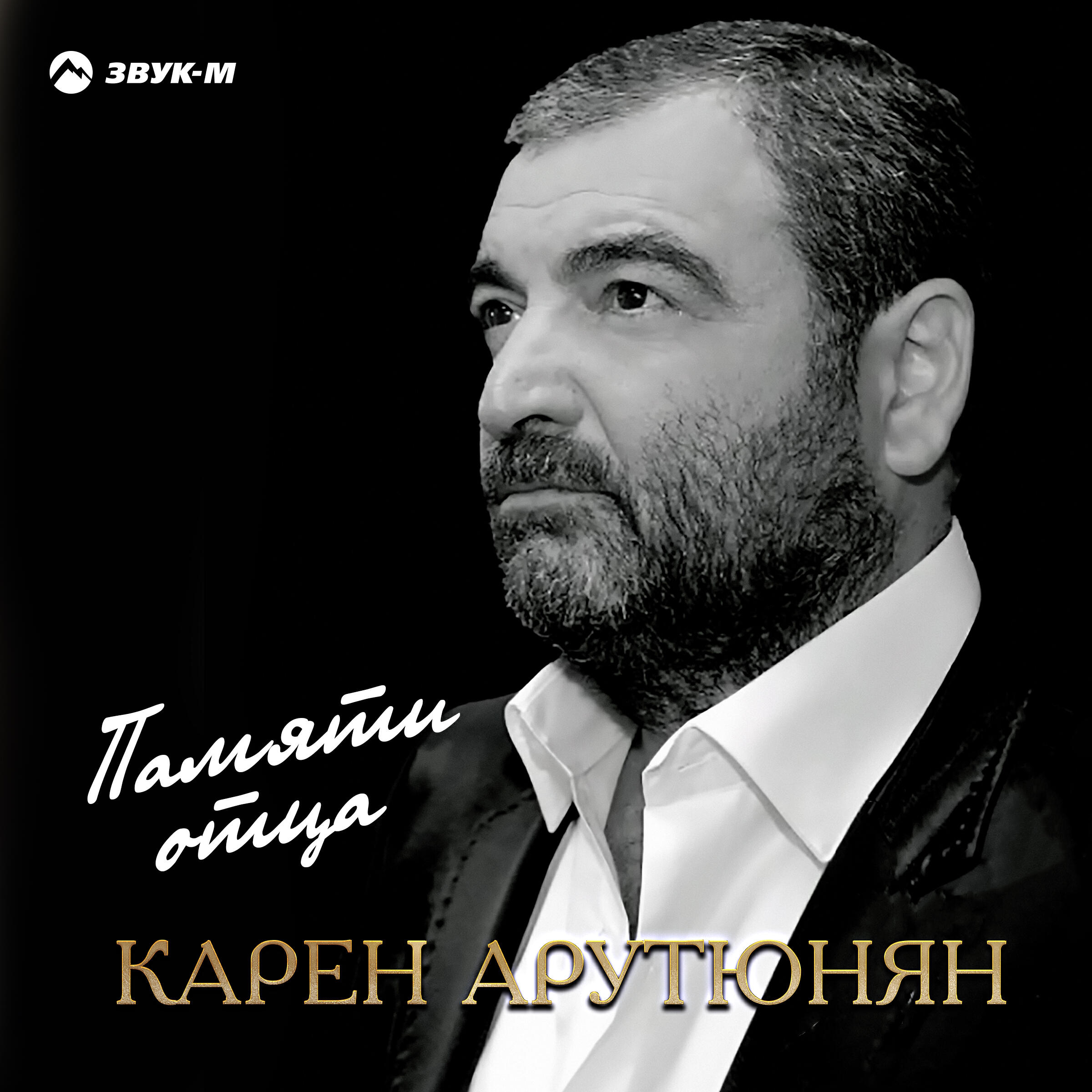 Постер альбома Памяти отца