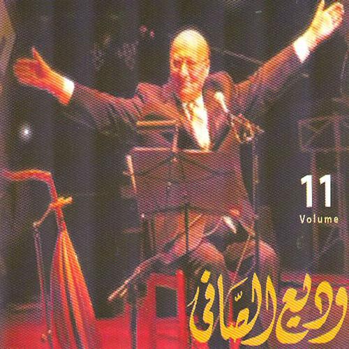 Релиз Wadi El Safi, Vol. 11 (Live)