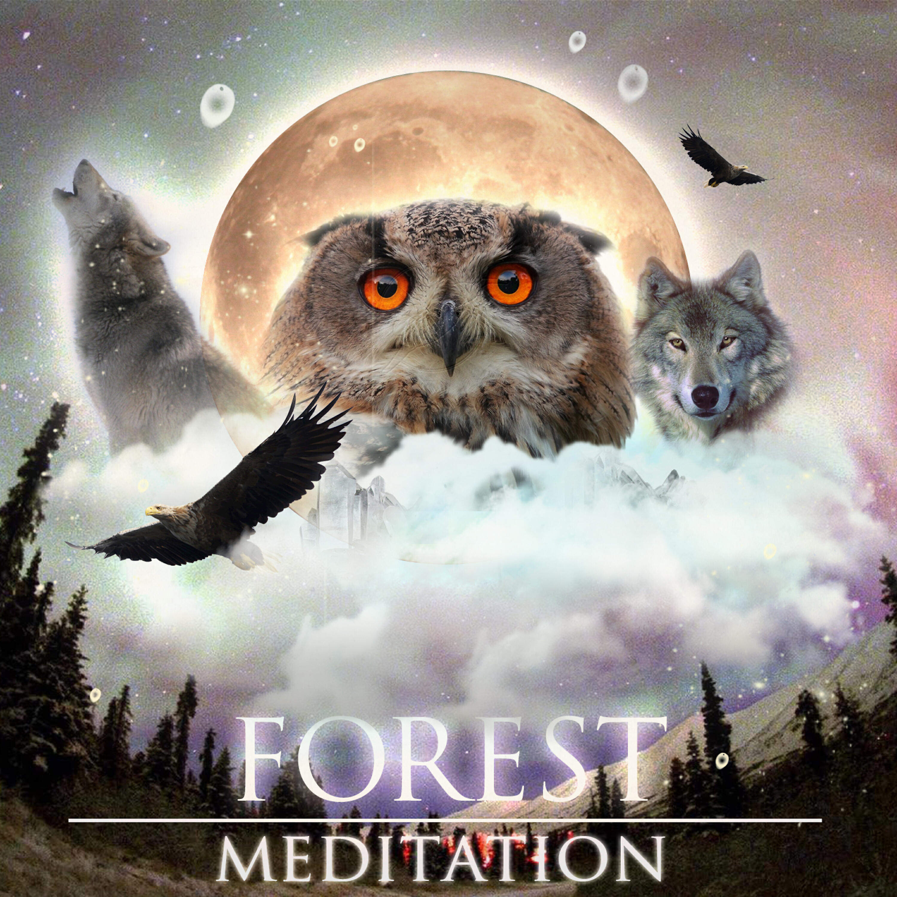 Релиз Forest Meditation