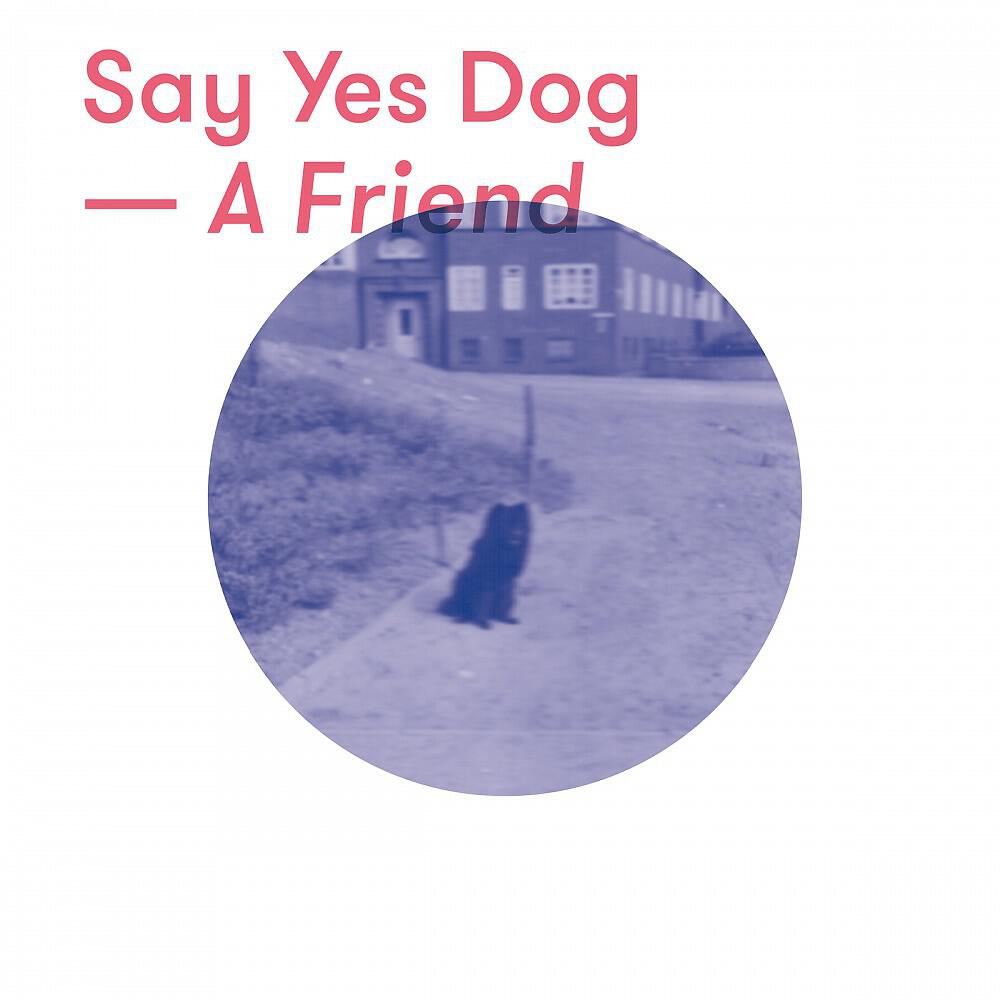 Релиз A Friend