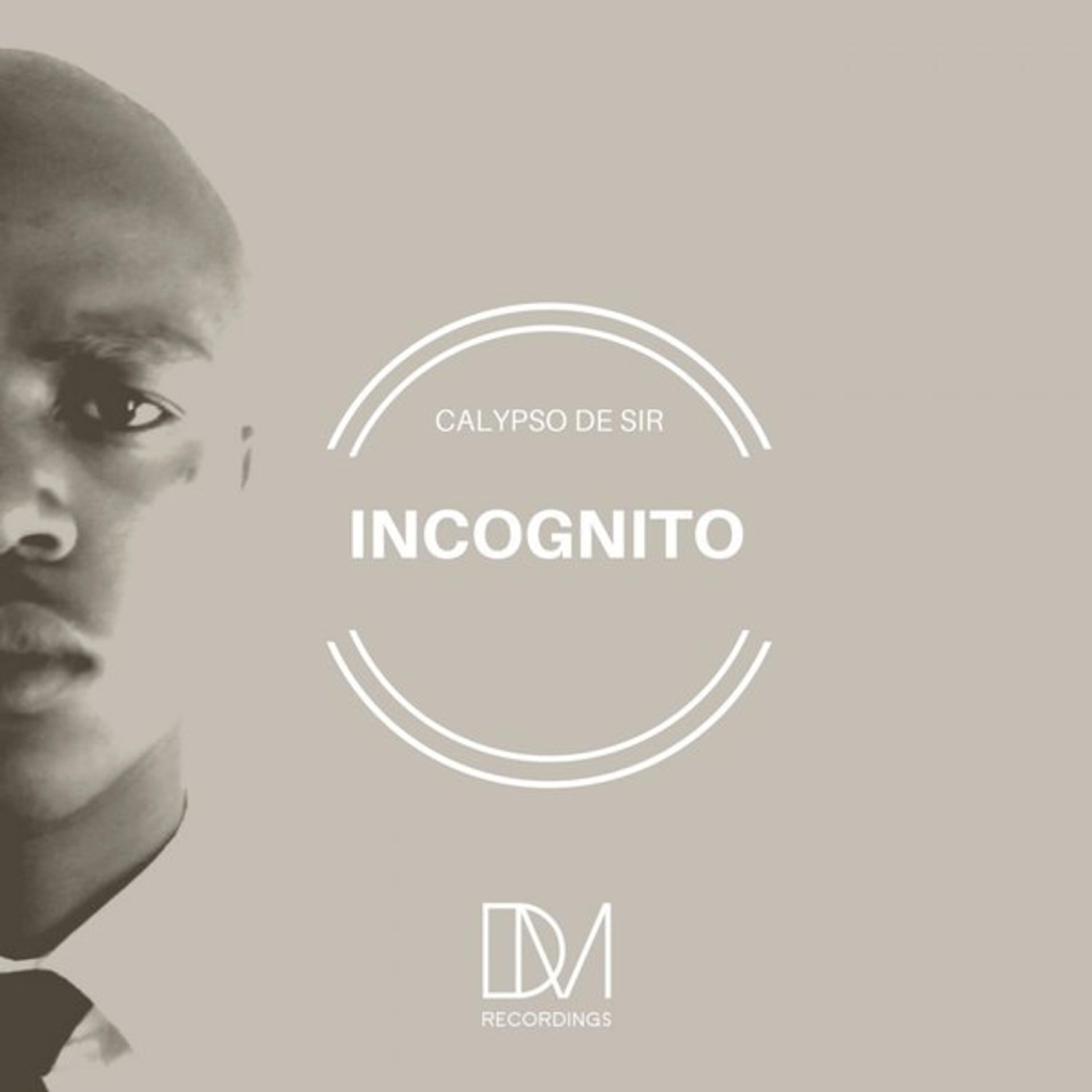 Релиз Incognito