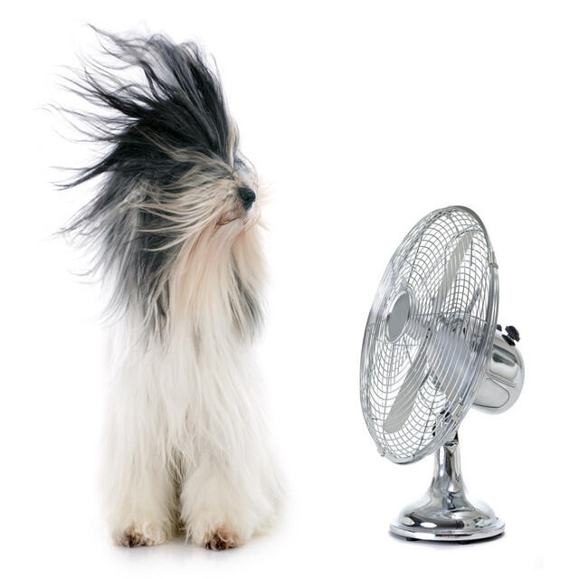 Релиз Calming Fan Sounds for Sleep