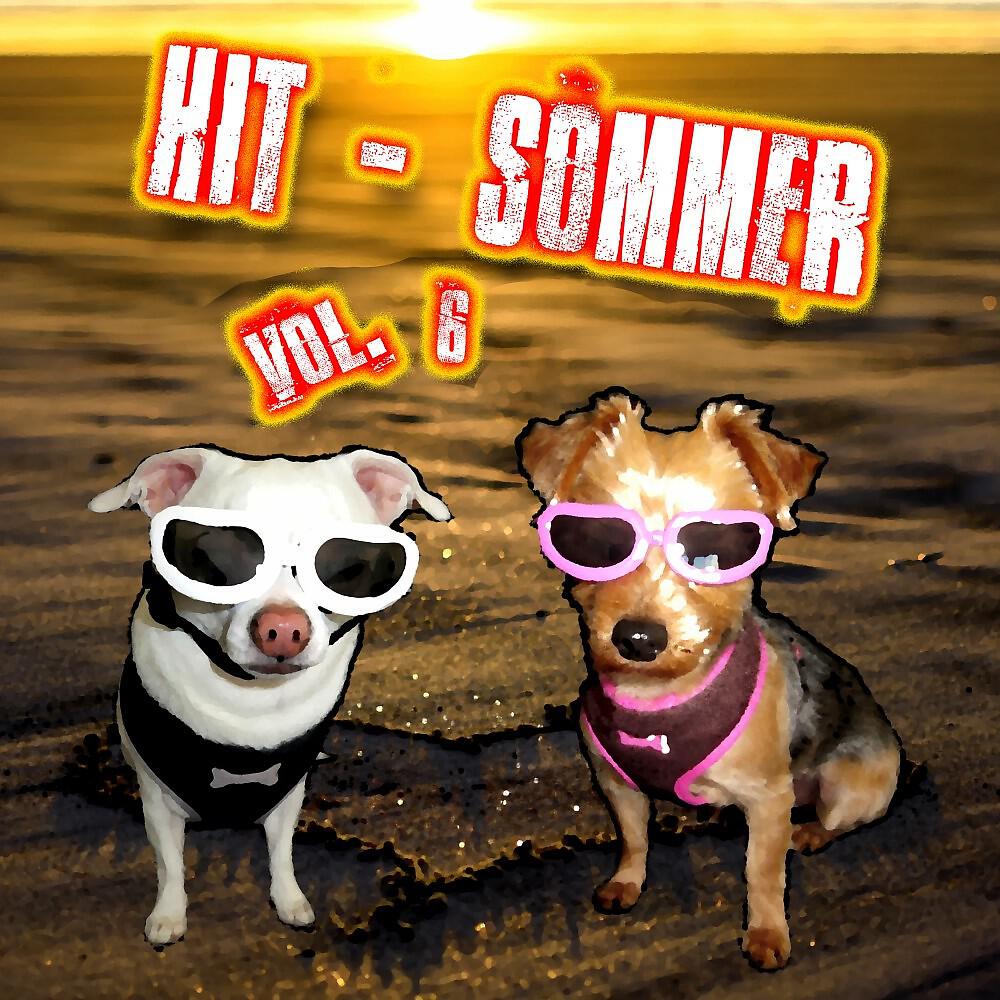 Релиз Hit-Sommer, Vol. 6