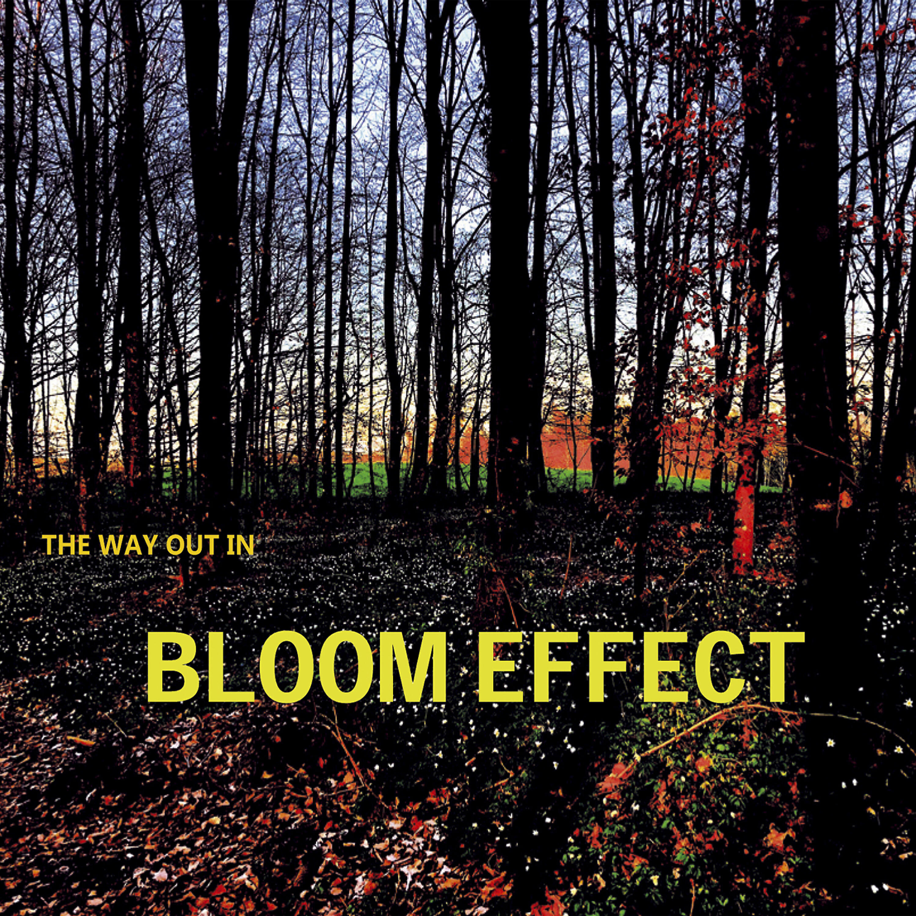 Релиз Bloom Effect