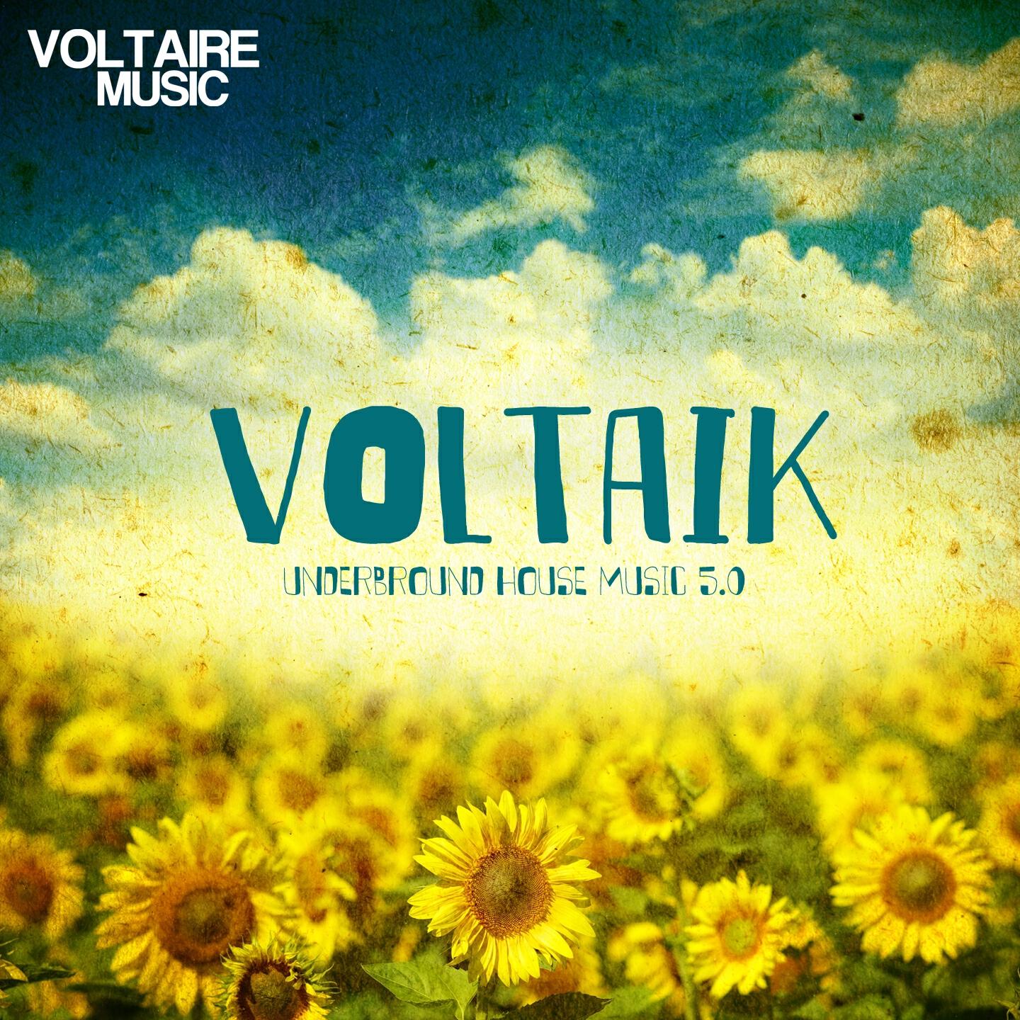 Релиз Voltaik 5.0