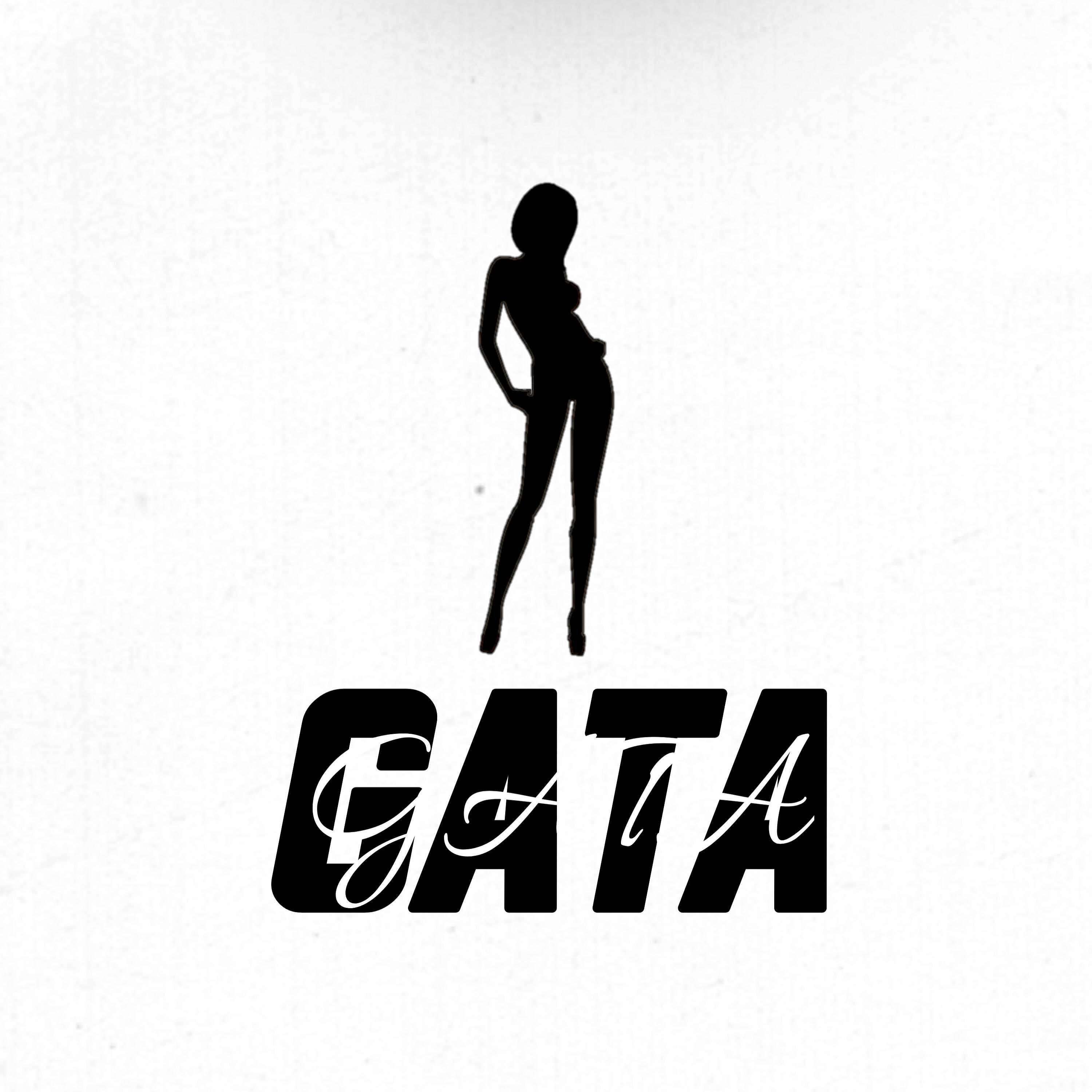 Релиз Gata