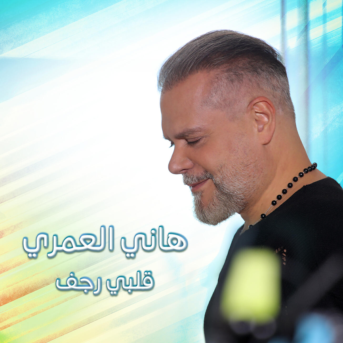 Постер альбома Albi Rajaf