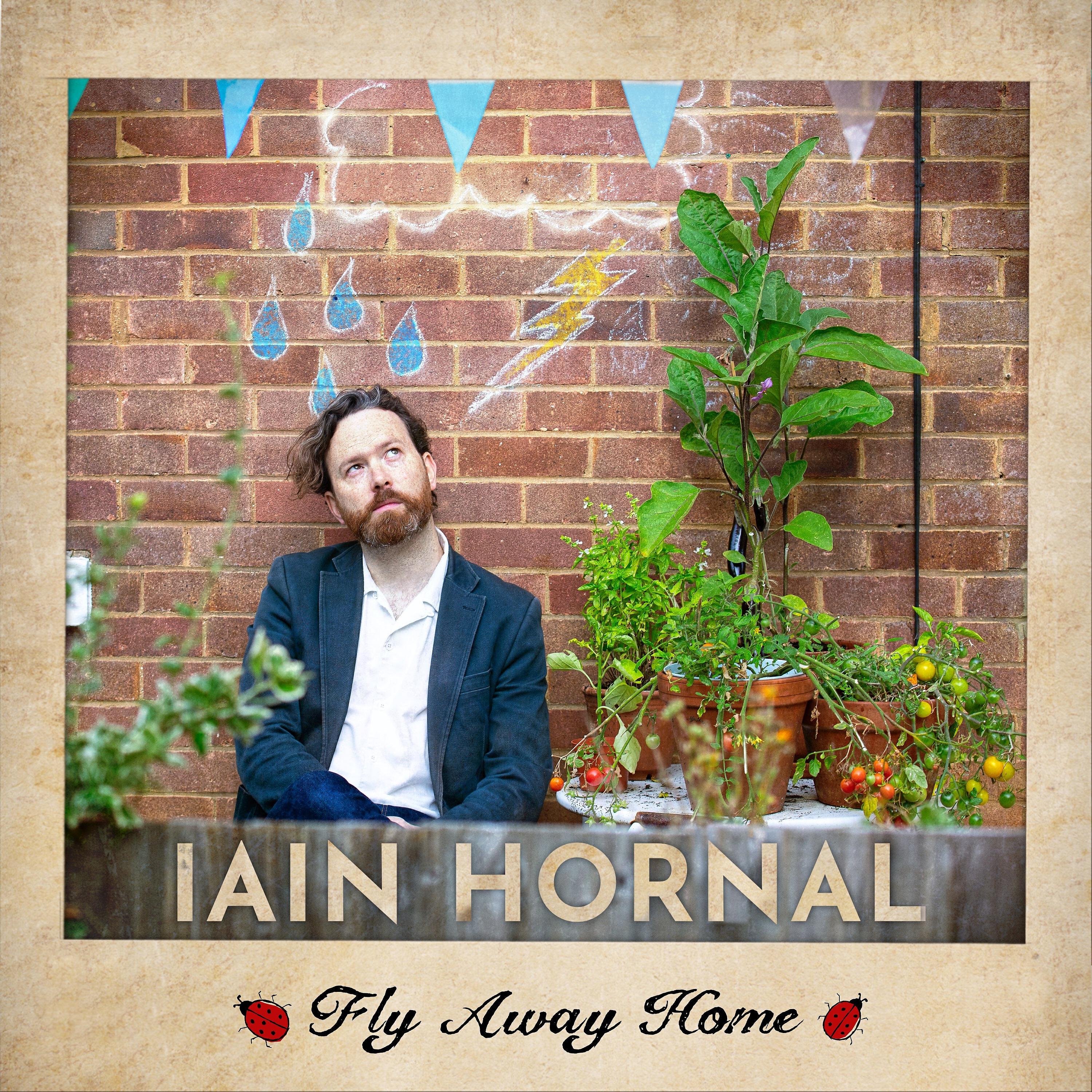 Релиз Fly Away Home