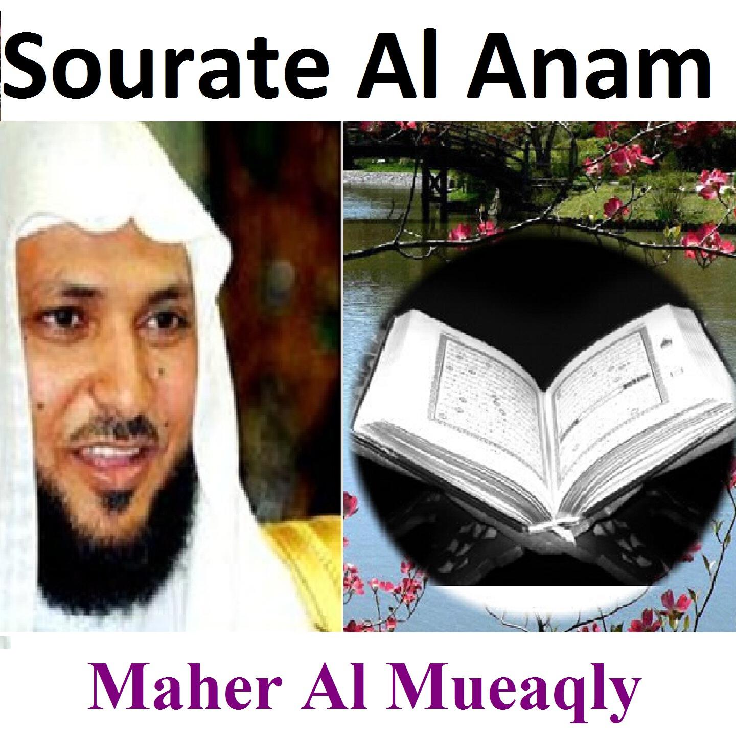 Релиз Sourate Al Anam