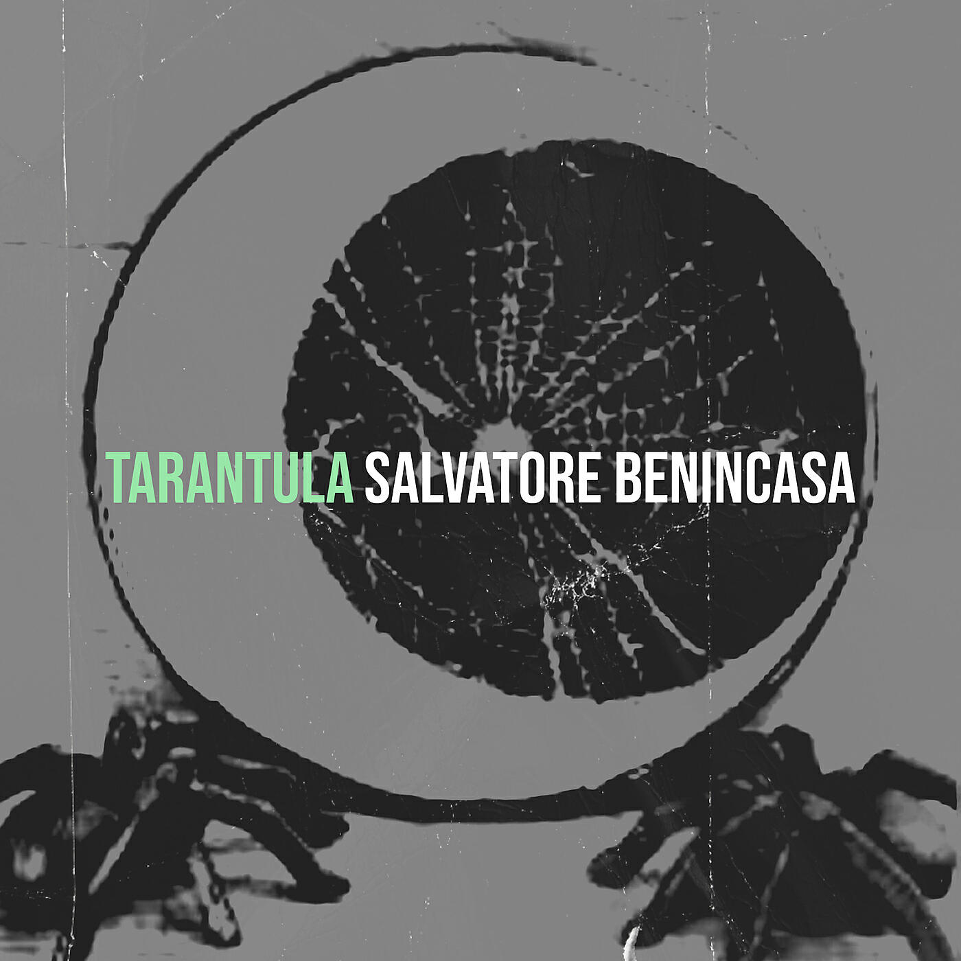 Релиз Tarantula