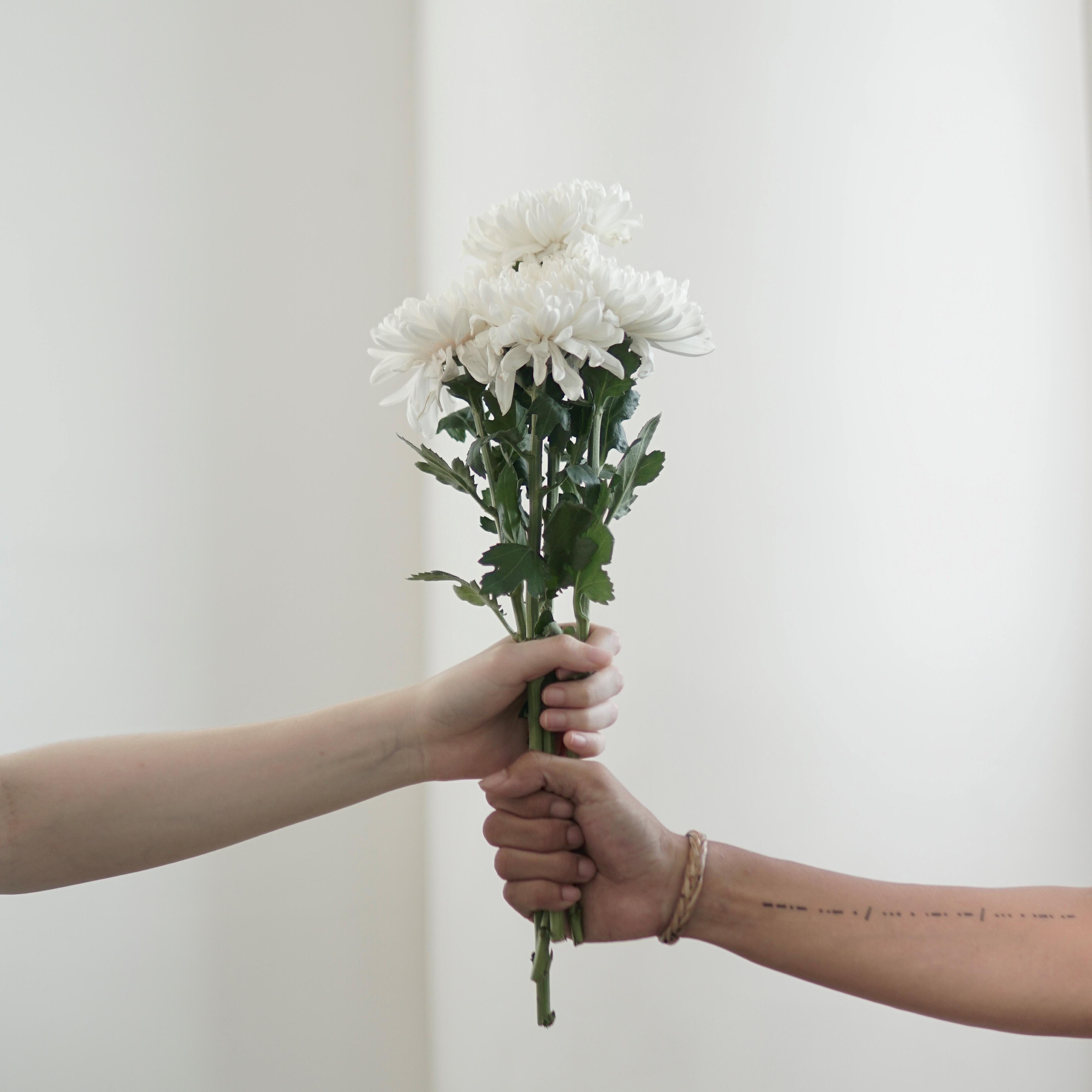 Релиз Cerita Rindu