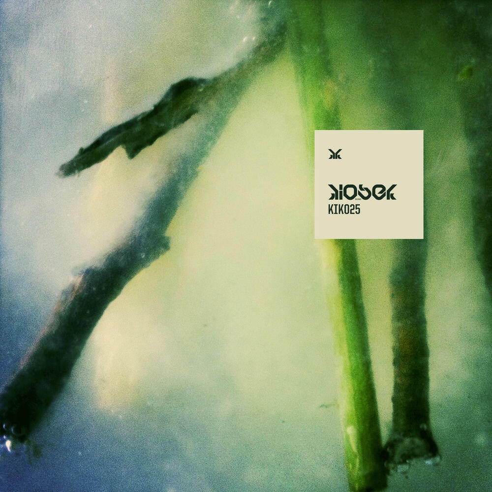 Релиз Eudemony